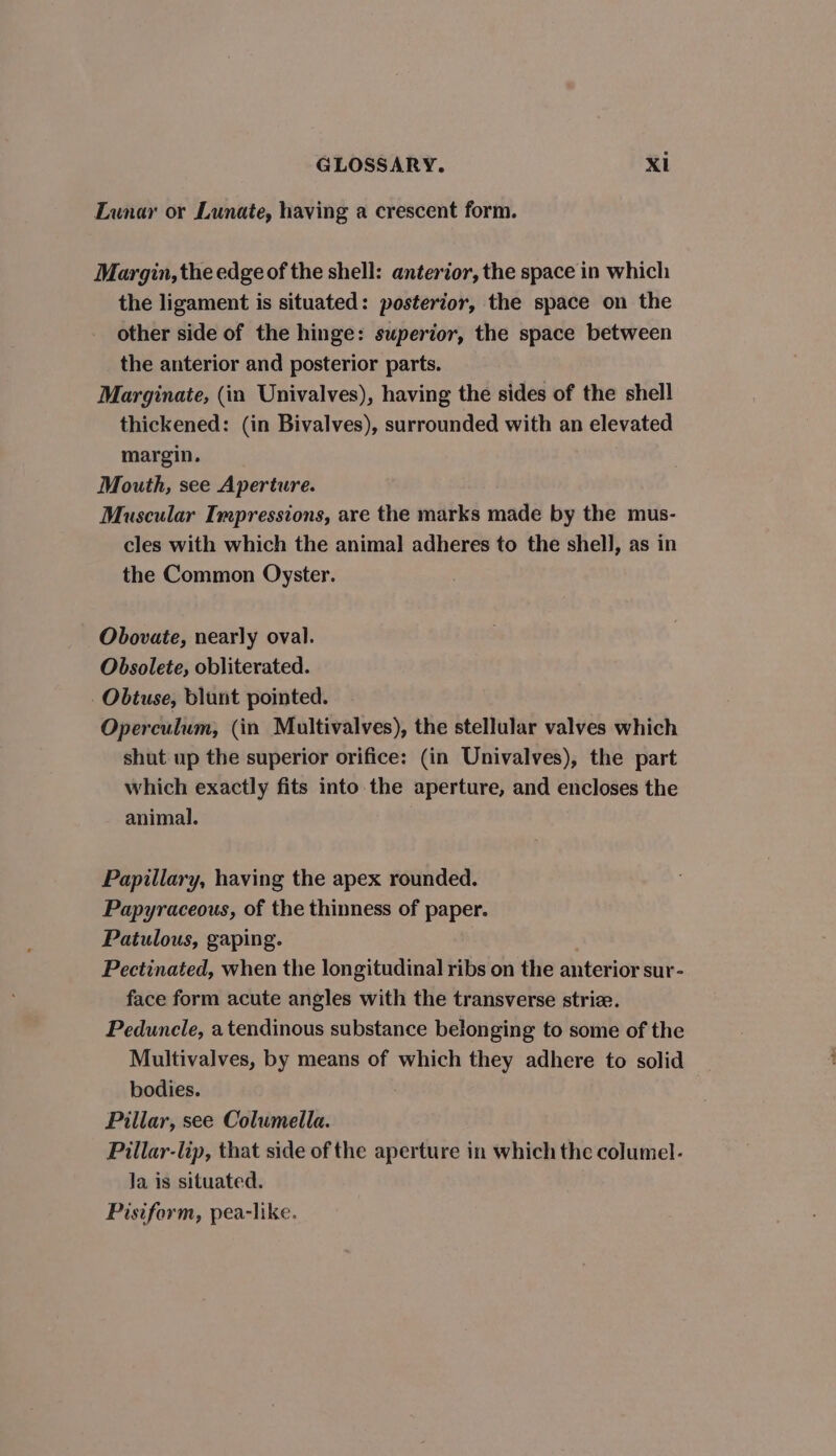 Lunar or Lunate, having a crescent form. Margin, the edge of the shell: anterior, the space in which the ligament is situated: posterior, the space on the other side of the hinge: superior, the space between the anterior and posterior parts. Marginate, (in Univalves), having the sides of the shell thickened: (in Bivalves), surrounded with an elevated margin. Mouth, see Aperture. Muscular Impressions, are the marks made by the mus- cles with which the animal adheres to the shell, as in the Common Oyster. Obovate, nearly oval. Obsolete, obliterated. Obtuse, blunt pointed. Operculum, (in Multivalves), the stellular valves which shut up the superior orifice: (in Univalves), the part which exactly fits into the aperture, and encloses the animal. Papillary, having the apex rounded. Papyraceous, of the thinness of paper. Patulous, gaping. Pectinated, when the longitudinal ribs on the anterior sur- face form acute angles with the transverse strize. Pedunele, a tendinous substance belonging to some of the Multivalves, by means of which they adhere to solid bodies. Pillar, see Columella. Pillar-lip, that side of the aperture in which the columel- Ja is situated. Pisiform, pea-like.