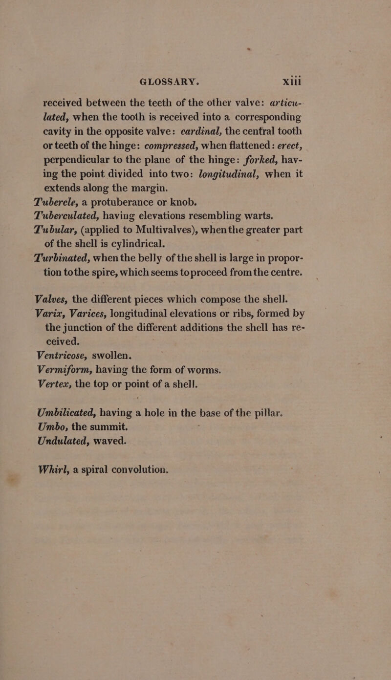 received between the teeth of the other valve: articu- lated, when the tooth is received into a corresponding cavity in the opposite valve: cardinal, the central tooth or teeth of the hinge: compressed, when flattened : erect, perpendicular to the plane of the hinge: forked, hav- ing the point divided into two: longitudinal, when it extends along the margin. Tubercle, a protuberance or knob. Tuberculated, having elevations resembling warts. Tubular, (applied to Multivalves), when the greater part of the shell is cylindrical. Turbinated, when the belly of the shell is large in propor- tion tothe spire, which seems toproceed from the centre. Valves, the different pieces which compose the shell. Varix, Varices, longitudinal elevations or ribs, formed by the junction of the different additions the shell has re- ceived. Ventricose, swollen. Vermiform, having the form of worms. Vertex, the top or Bains of a shell. Umbilicated, having a hole in the base of the pillar. Umbo, the summit. Undulated, waved. Whirl, a spiral convolution.