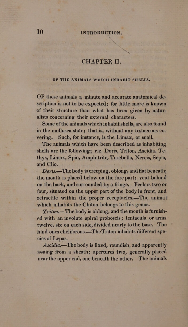 CHAPTER II. - OF THE ANIMALS WHICH INHABIT SHELLS. OF these animals a minute and accurate anatomical de- scription is not to be expected; for little more is known of their structure than what has been given by natur- alists concerning their external characters. Some of the animals which inhabit shells, are also found in the mollusca state; that is, without any testaceous co- vering. Such, for instance, is the Limax, or snail. The animals which have been described as inhabiting shells are the following; viz. Doris, Triton, Ascidia, Te- thys, Limax, Spio, Amphitrite, Terebella, Nereis, Sepia, and Clio. Doris.—The body is creeping, oblong, and flat beneath; the mouth is placed below on the fore part; vent behind on the back, and surrounded by a fringe, Feelers two or four, situated on the upper part of the body in front, and retractile within the proper receptacles.—The anima] which inhabits the Chiton belongs to this genus. Triton.—The body is oblong, and the mouth is furnish- ed with an involute spiral proboscis; tentacula or arms twelve, six on each side, divided nearly tothe base. The hind ones cheliforous.—TheTriton inhabits different spe- cies of Lepas. Ascidia.—The body is fixed, roundish, and apparently issuing from a sheath; apertures two, generally placed near the upper end, one beneath the other, The animals