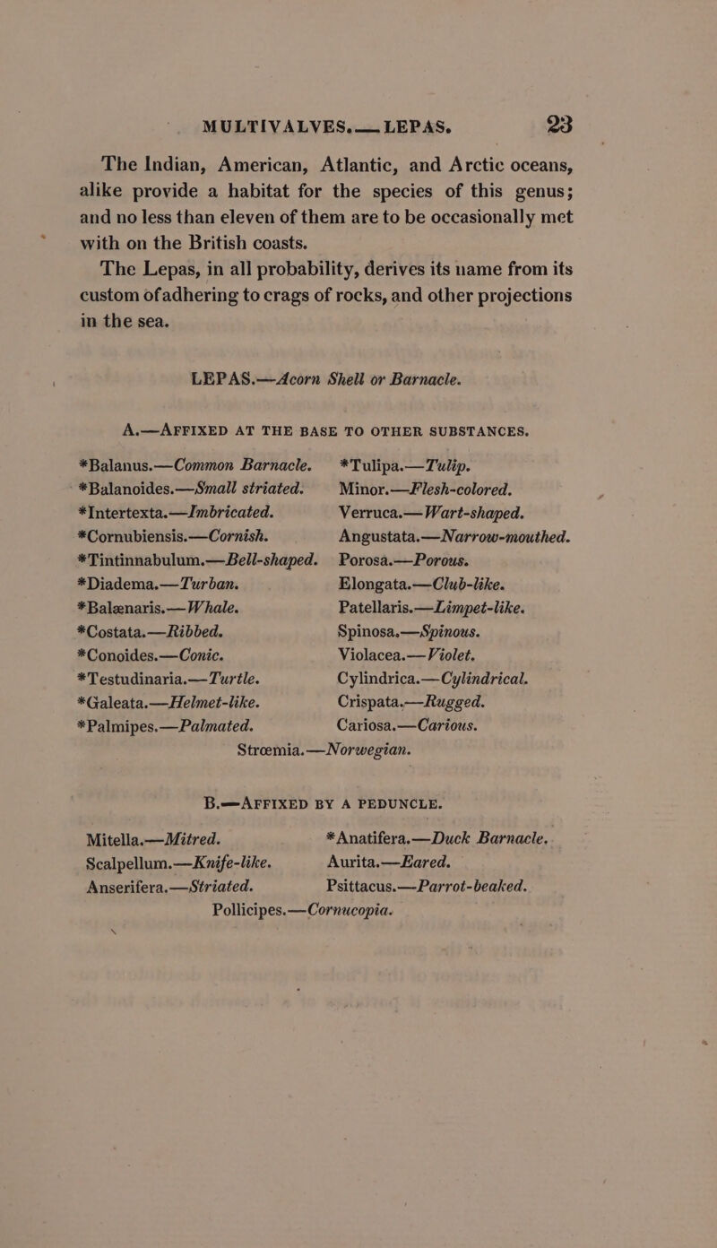 The Indian, American, Atlantic, and Arctic oceans, alike provide a habitat for the species of this genus; and no less than eleven of them are to be occasionally met with on the British coasts. The Lepas, in all probability, derives its name from its custom ofadhering to crags of rocks, and other projections in the sea. LEPAS.—Acorn Shell or Barnacle. A.—AFFIXED AT THE BASE TO OTHER SUBSTANCES. *Balanus.—Common Barnacle. *Tulipa.—Tulip. - *Balanoides.—Small striated. Minor.—Flesh-colored. *Intertexta.—Imbricated. Verruca.— Wart-shaped. *Cornubiensis.—Cornish. Angustata.—Narrow-mouthed. *Tintinnabulum.—Bell-shaped. Porosa.—Porous. *Diadema.— Turban. Elongata.—Club-like. *Balenaris.— Whale. Patellaris.—Limpet-like. *Costata.—Ribbed. Spinosa.—Spinous. *Conoides.—Conic. Violacea.— Violet. *Testudinaria.— Turtle. Cylindrica.— Cylindrical. *Galeata.—Helmet-like. Crispata.—Rugged. *Palmipes.—Palmated. Cariosa.—Carious. Stroemia.— Norwegian. B.—AFFIXED BY A PEDUNCLE. Mitella.—Mitred. * Anatifera.—Duck Barnacle. Scalpellum.—Knife-like. Aurita.—Eared. Anserifera.—Striated. Psittacus.—Parrot-beaked. Pollicipes. —Cornucopia.