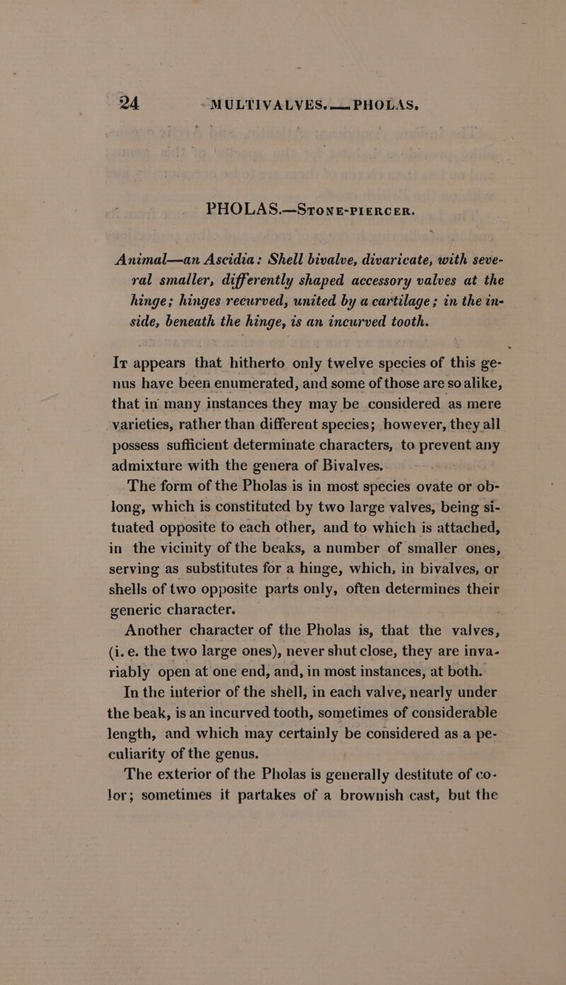 PHOLAS.—StToneE-PIERCER. Animal—an Ascidia: Shell bivalve, divaricate, with seve- ral smaller, differently shaped accessory valves at the hinge; hinges recurved, united by a cartilage ; in the in- side, beneath the hinge, is an incurved tooth. Ir appears that hitherto only twelve species of this ge- nus have been enumerated, and some of those are so alike, that in many instances they may be considered ‘as mere varieties, rather than differeut species; however, they all possess sufticient determinate characters, to prevent any admixture with the genera of Bivalves. The form of the Pholas is in most species ovate or ob- long, which is constituted by two large valves, being si- tuated opposite to each other, and to which is attached, in the vicinity of the beaks, a number of smaller ones, serving as substitutes for a hinge, which, in bivalves, or shells of two opposite parts only, often determines their generic character. : Another character of the Pholas is, that the valves, (i.e. the two large ones), never shut close, they are inva- riably open at one end, and, in most instances, at both. In the interior of the shell, in each valve, nearly under the beak, is an incurved tooth, sometimes of considerable length, and which may certainly be considered as a pe- culiarity of the genus. The exterior of the Pholas is generally destitute of co- Jor; sometimes it partakes of a brownish cast, but the