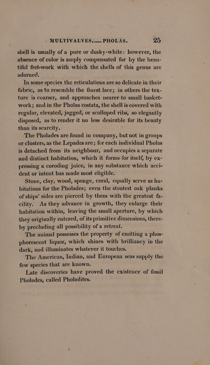 shell is usually of a pure or dusky-white: however, the absence of color is amply compensated for by the beau- tiful fret-work with which the shells of this genus are adorned. In some species the reticulations are so delicate in their fabric, as to resemble the finest lace; in others the tex- ture is coarser, and approaches nearer to small basket- work; and in the Pholas costata, the shell is covered with regular, elevated, jagged, or scolloped ribs, so elegantly disposed, as to render it no less desirable for its beauty than its scarcity. , The Pholades are found in company, but not in groups or clusters, as the Lepades are; for each individual Pholas is detached from its neighbour, and occupies a separate and distinct habitation, which it forms for itself, by ex- pressing a coroding juice, in any substance which acci- dent or intent has made most eligible. Stone, clay, wood, sponge, coral, equally serve as ha- bitations for the Pholades; even the stoutest oak planks. of ships’ sides are pierced by them with the greatest fa- cility. As they advance in growth, they enlarge their habitation within, leaving the small aperture, by which they originally entered, of its primitive dimensions, there- by precluding all possibility of a retreat. The animal possesses the property of emitting a phos- phorescent liquor, which shines with brilliancy in the dark, and illuminates whatever it touches. The American, Indian, and Evropean seas supply the few species that are known. Late discoveries have proved the existence of fossil Pholades, called Pholadites.