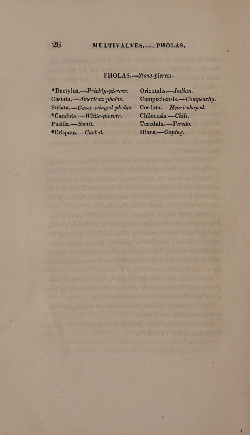 PHOLAS.-=Stone-piercer. *Dactylus.—Prickly-piercer. Orientalis.—Indian. Costata.—American pholas. Campechensis.—Campeachy. Striata.—Goose-winged pholas. Cordata.—Heart-shaped. *Candida,— White-piercer. Chiloensis.— Chili. Pusilla.—Smail. Teredula.—Teredo. *Crispata.—Curled. Hians.—Gaping.