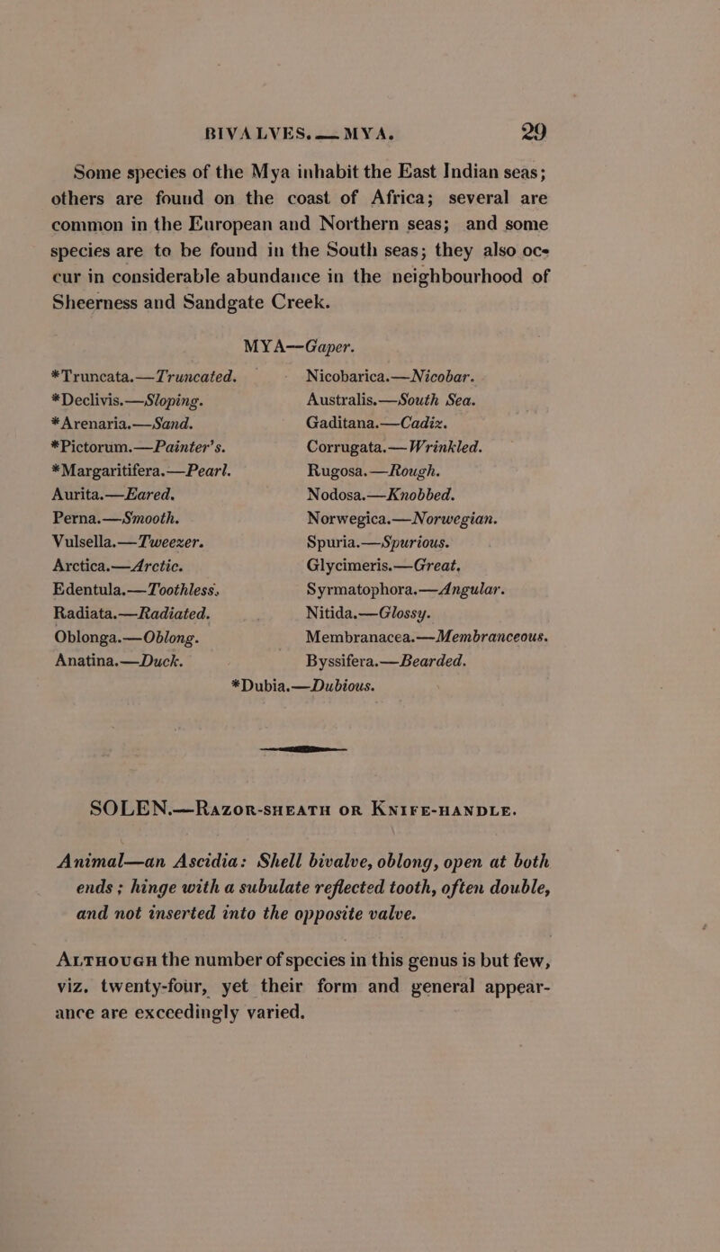 Some species of the Mya inhabit the East Indian seas; others are found on the coast of Africa; several are common in the European and Northern seas; and some species are te be found in the South seas; they also oc- cur in considerable abundance in the neighbourhood of Sheerness and Sandgate Creek. MYA-—-Gaper. *Truncata.—Truncated. _ Nicobarica.— Nicobar. *Declivis.—Sloping. Australis. —South Sea. * Arenaria.—/Sand. Gaditana.—Cadiz. *Pictorum.—Painter’s. Corrugata.— Wrinkled. *Margaritifera.— Pearl. Rugosa.—Rough. Aurita.—Eared. Nodosa.—Knobbed. Perna.— Smooth. Norwegica.— Norwegian. Vulsella.— Tweezer. Spuria.—Spurious. Arctica. — Arctic. Glycimeris.—Great, Edentula.— Toothless. Syrmatophora.—Angular. Radiata.—Radiated. Nitida.—Glossy. Oblonga.— Oblong. Membranacea.—Membranceous. Anatina.—Duck. Byssifera.— Bearded. *Dubia.— Dubious. SOLEN.—Razor-sHEATH OR KNIFE-HANDLE. Animal—an Ascidia: Shell bivalve, oblong, open at both ends ; hinge with a subulate reflected tooth, often double, and not inserted into the opposite valve. ALTHOUGH the number of species in this genus is but few, viz, twenty-four, yet their form and general appear- ance are exceedingly varied.