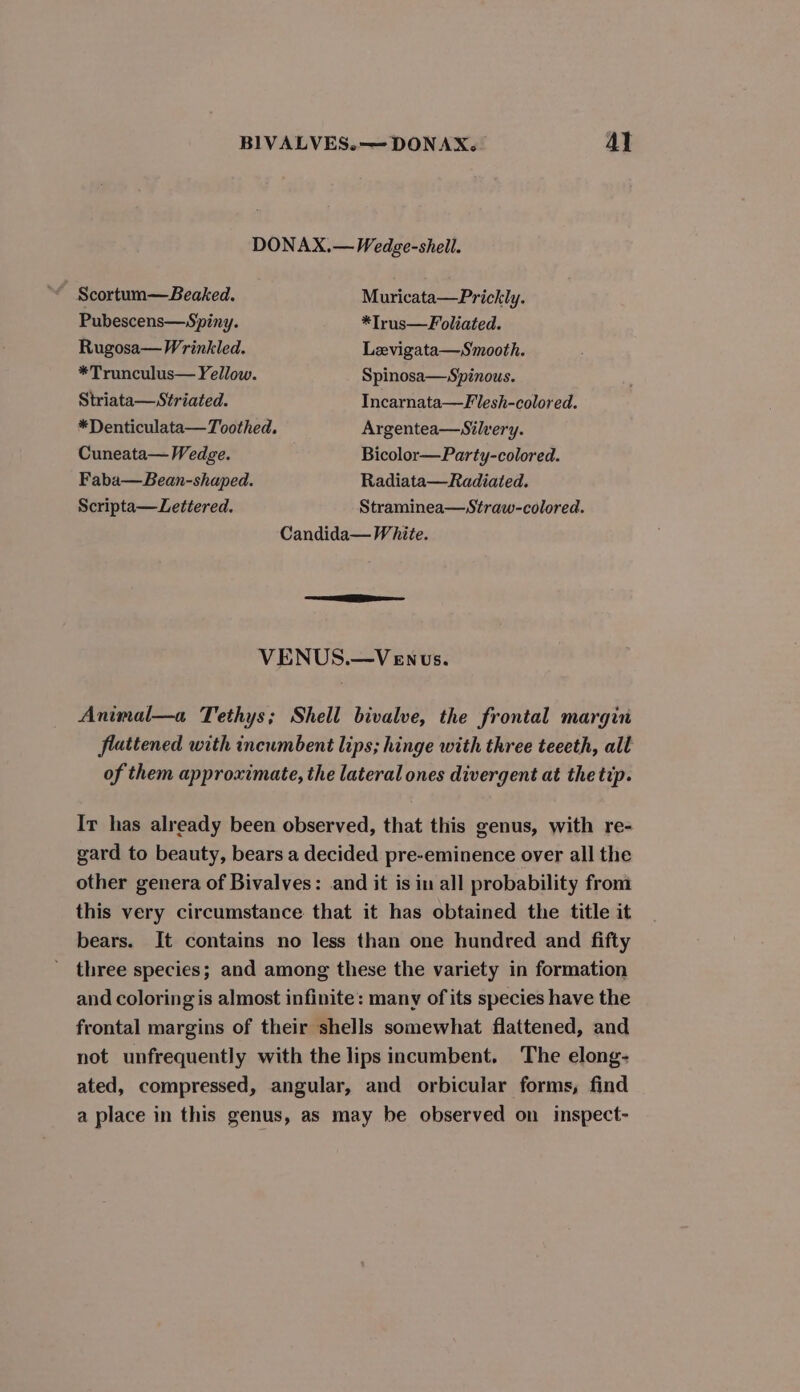 BIVALVES.—DONAX. Al DONAX.— Wedge-shell. Scortum—Beaked. Muricata—Prickly. Pubescens—Spiny. *Irus—Foliated. Rugosa—Wrinkled. Levigata—Smooth. *Trunculus— Yellow. Spinosa—Spinous. Striata—Striated. Incarnata—Flesh-colored. *Denticulata—Toothed, Argentea—Silvery. Cuneata— Wedge. Bicolor—Party-colored. Faba—Bean-shaped. Radiata—Radiated. Scripta—Lettered. Straminea—Straw-colored. Candida— White. VENUS.—VENus. Animal—a Tethys; Shell bivalve, the frontal margin flattened with incumbent lips; hinge with three teeeth, all of them approximate, the lateral ones divergent at the tip. Ir has already been observed, that this genus, with re- gard to beauty, bears a decided pre-eminence over all the other genera of Bivalves: and it is in all probability from this very circumstance that it has obtained the title it bears. It contains no less than one hundred and fifty three species; and among these the variety in formation and coloring is almost infinite: many of its species have the frontal margins of their shells somewhat flattened, and not unfrequently with the lips incumbent. The elong- ated, compressed, angular, and orbicular forms, find a place in this genus, as may be observed on inspect-