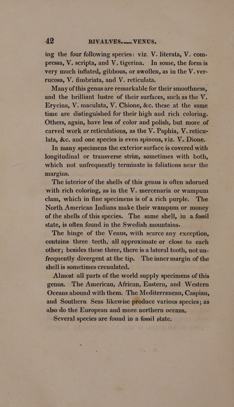 ing the four following species: viz. V. literata, V. com- pressa, V. scripta, and V. tigerina. In some, the form is very much inflated, gibbous, or swollen, as in the V. ver- rucosa, V. fimbriata, and V. reticulata. Many of this genus are remarkable for their smoothness, and the brilliant lustre of their surfaces, such as the V. Erycina, V. maculata, V. Chione, &amp;c. these at the same time are distinguished for their high and rich coloring. Others, again, have less of color and polish, but more of carved work or reticulations, as the V. Paphia, V. reticu- lata, &amp;c. and one species is even spinous, viz. V. Dione. In many specimens the exterior surface is covered with longitudinal or transverse strize, sometimes with both, which not unfrequently terminate in foliations near the margins. The interior of the shells of this genus is often adorned with rich coloring, as in the V. mercenaria or wampum clam, which in fine specimens is of a rich purple. ‘The North American Indians make their wampum or money of the shells of this species. The same shell, in a fossil state, is often found in the Swedish mountains. The hinge of the Venus, with scarce any exception, contains three teeth, all approximate or close to each other; besides these three, there is a lateral tooth, not un- frequently divergent at the tip. ‘The inner margin of the shell is sometimes crenulated. Almost all parts of the world supply specimens of this genus. The American, African, Eastern, and Western Oceans abound with them. The Mediterranean, Caspian, and Southern Seas likewise produce various species; as also do the European and more northern oceans, _. Several species are found in a fossil state.