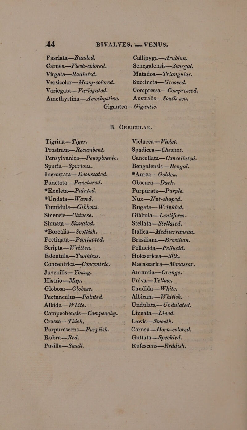 Carnea—Flesh-colored. Virgata—Radiated. Versicolor—Many-colored. Variegata—Variegated. Amethystina—Amethystine. Senegalensis—Senegal. Matadoa—Triangular. Succincta—Grooved. Compressa—Compressed. Australis—South-sea. Tigrina—Tiger. Prostrata—Recumbent. Pensylvanica—Pensylvanic. Spuria—Spurious. Incrustata—Decussated. Punctata—Punctured. *Exoleta—Painted. *Undata— Waved. Tumidula—Gibbous. Sinensis—Chinese. Sinuata—Sinuated. *Borealis—Scottish. Pectinata—Pectinated. Scripta— Written. Edentula—Toothless. Concentrica—Concentric. Juvenilis— Young. Histrio—Map. . Globosa—Globose. _ Pectunculus—Painted. Albida— White. - Campechensis—Campeachy. Crassa—Thick. Purpurescens—Purplish. Rubra—Red. Pusilla— Small. Violacea— Violet. Spadicea—Chesnut. Cancellata—Cancellated. Bengalensis—Bengal. * Aurea—Golden. Obscura—Dark. Purpurata—Purple. Nux—WNut-shaped. Rugata— Wrinkled. Gibbula—Lentiform. Stellata—Stellated. Italica— Mediterranean. Brasiliana—Brasilian. Pellucida—Pellucid. Holosericea—Silk. Macassarica—Macassar. Aurantia—Orange. Fulva— Yellow. Candida— White. Albicans—Whitish. Undulata— Undulated. Lineata—Lined. Lzvis—Smooth. Cornea—Horn-colored. Guttata—Speckled. Rufescens—Reddish.