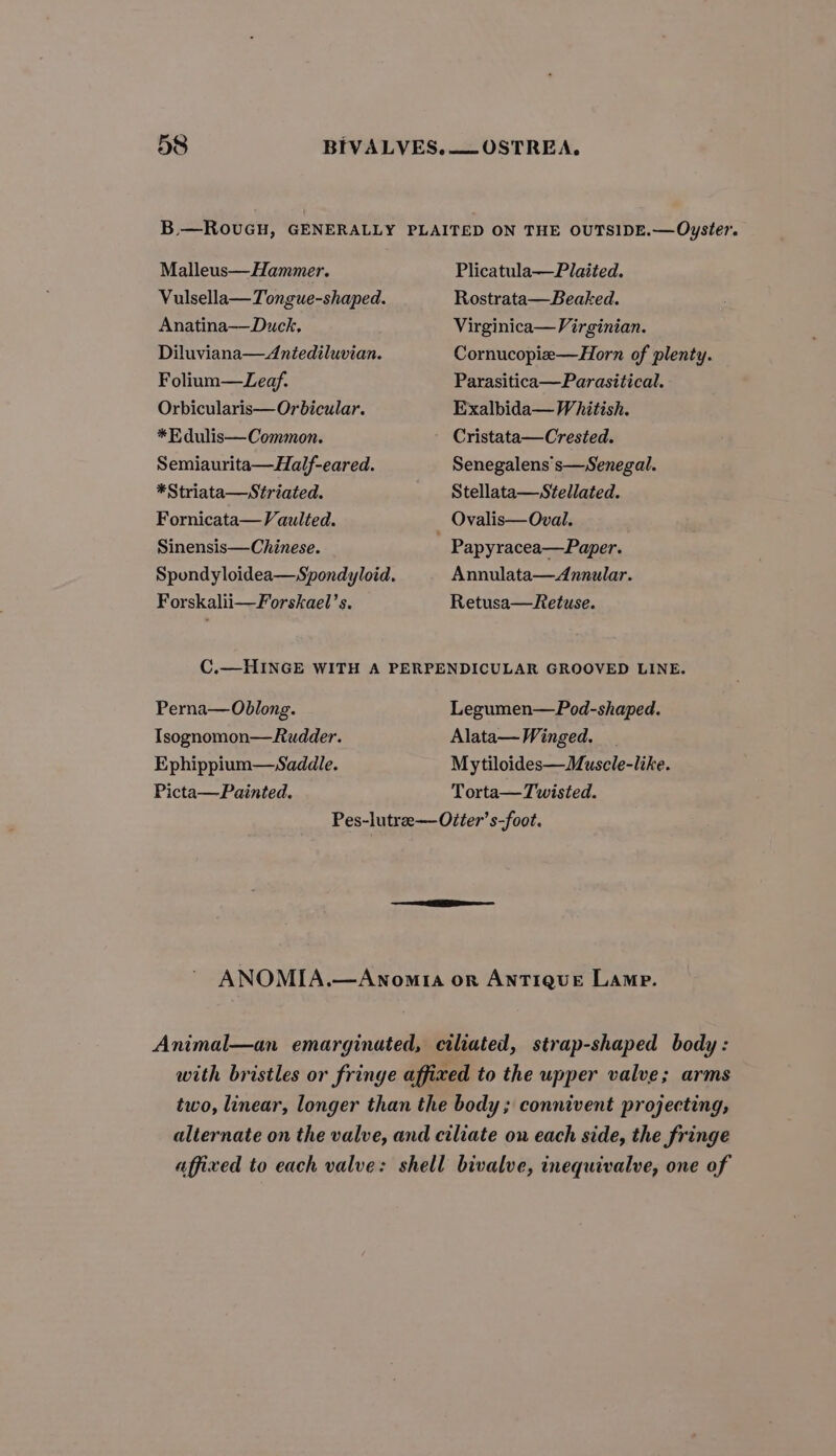 B.—RouGH, GENERALLY PLAITED ON THE OUTSIDE.—Oyster. Malleus—Hammer. Plicatula—Plaited. Vulsella— Tongue-shaped. Rostrata—Beaked. Anatina—Duck, Virginica— Virginian. Diluviana—Antediluvian. Cornucopiee—Horn of plenty. Folium—Leaf. Parasitica—Parasitical. Orbicularis—Orbicular. Exalbida— Whitish. *E dulis—Common. ' Cristata—Crested. Semiaurita—Half-eared. Senegalens's—Senegal. *Striata—Striated. Stellata—Stellated. Fornicata— Vaulted. Ovalis— Oval. Sinensis—Chinese. : Papyracea—Paper. Spondyloidea—Spondyloid. Annulata—Annular. Forskalii—Forskael’s. Retusa—Retuse. C.—HINGE WITH A PERPENDICULAR GROOVED LINE. Perna—Oblong. Legumen—Pod-shaped. Isognomon—Rudder. Alata—Winged. | Ephippium—Saddle. Mytiloides—Muscle-like. Picta—Painted. Torta—Twisted. Pes-lutree—Oiter’s-foot. ANOMIA.—Anomria or AnTIQUE Lamp. Animal—an emarginated, ciliated, strap-shaped body: with bristles or fringe affixed to the upper valve; arms two, linear, longer than the body; connivent projecting, alternate on the valve, and ciliate on each side, the fringe affixed to each valve: shell bivalve, inequivalve, one of