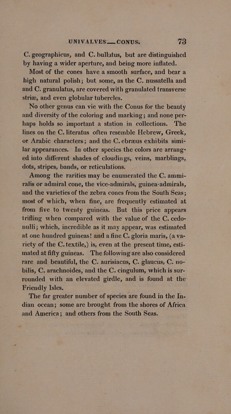 UNIVALVES— CONUS: %3 C. geographicus, and C. bullatus, but are distinguished by having a wider aperture, and being more inflated. Most of the cones have a smooth surface, and bear a high natural polish; but some, as the C. nussatella and and C. granulatus, are covered with granulated transverse strize, and even globular tubercles. No other genus can vie with the Conus for the beauty and diversity of the coloring and marking; and rone per- haps holds so important a station in collections. The lines on the C. literatus often resemble Hebrew, Greek, or Arabic characters; and the C. ebreeus exhibits simi- lar appearances. In other species the colors are arrang- ed into different shades of cloudings, veins, marblings, dots, stripes, bands, or reticulations. Among the rarities may be enumerated the C. ammi- ralis or admiral cone, the vice-admirals, guinea-admirals, and the varieties of the zebra cones from the South Seas; most of which, when fine, are frequently estimated at from five to twenty guineas. But this price appears trifling when compared with the value of the C. cedo- nulli; which, incredible as it may appear, was estimated at one hundred guineas! and a fine C. gloria maris, (a va- riety of the C. textile,) is, even at the present time, esti- mated at fifty guineas. The following are also considered rare and beautiful, the C. aurisiacus, C. glaucus, C. no- bilis, C. arachnoides, and the C. cingulum, which is sur- rounded with an elevated girdle, and is found at the Friendly Isles. The far greater number of species are found in the In- dian ocean; some are brought from the shores of Africa and America; and others from the South Seas.