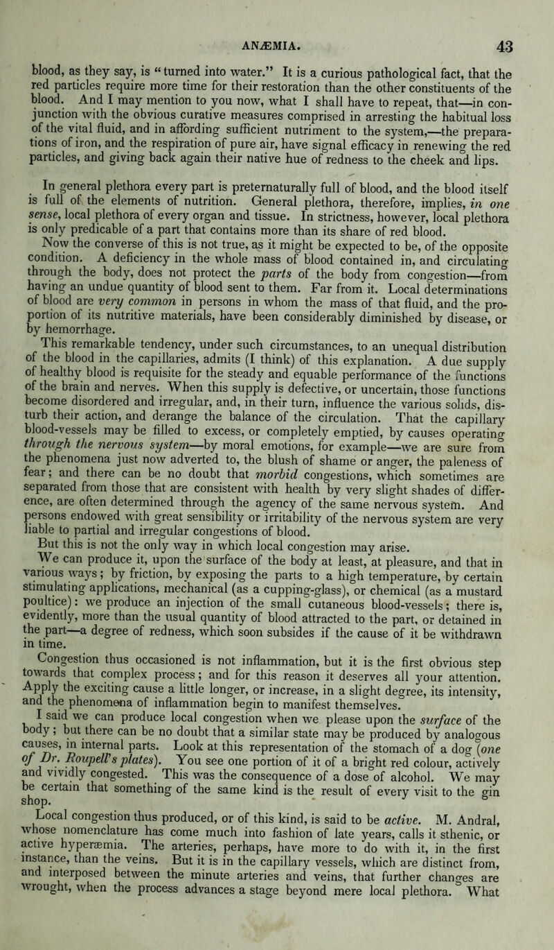 blood, as they say, is “ turned into water.” It is a curious pathological fact, that the red particles require more time for their restoration than the other constituents of the blood. And I may mention to you now, what I shall have to repeat, that—in con¬ junction with the obvious curative measures comprised in arresting the habitual loss of the vital fluid, and in affording sufficient nutriment to the system,—the prepara¬ tions of iron, and the respiration of pure air, have signal efficacy in renewing the red particles, and giving back again their native hue of redness to the cheek and lips. In general plethora every part is preternaturally full of blood, and the blood itself is full of the elements of nutrition. General plethora, therefore, implies, in one sense, local plethora of every organ and tissue. In strictness, however, local plethora is only predicable of a part that contains more than its share of red blood. Novv the converse of this is not true, as it might he expected to be, of the opposite condition. A deficiency in the whole mass of blood contained in, and circuJating through the body, does not protect the parts of the body from congestion—from having an undue quantity of blood sent to them. Far from it. Local determinations of blood are very common in persons in whom the mass of that fluid, and the pro¬ portion of its nutritive materials, have been considerably diminished by disease, or by hemorrhage. This remarkable tendency, under such circumstances, to an unequal distribution of the blood in the capillaries, admits (I think) of this explanation. A due supply of healthy blood is requisite for the steady and equable performance of the functions of the brain and nerves. When this supply is defective, or uncertain, those functions become disordered and irregular, and, in their turn, influence the various solids, dis¬ turb their action, and derange the balance of the circulation. That the capillary blood-vessels may be filled to excess, or completely emptied, by causes operating through the nervous system—by moral emotions, for example—we are sure from the phenomena just now adverted to, the blush of shame or anger, the paleness of fear; and there can be no doubt that morbid congestions, which sometimes are separated from those that are consistent with health by very slight shades of differ¬ ence, are often determined through the agency of the same nervous system. And persons endowed with great sensibility or irritability of the nervous system are very liable to partial and irregular congestions of blood. But this is not the only way in which local congestion may arise. We can produce it, upon the surface of the body at least, at pleasure, and that in various ways; by friction, by exposing the parts to a high temperature, by certain stimulating applications, mechanical (as a cupping-glass), or chemical (as a'mustard poultice): we produce an injection of the small cutaneous blood-vessels; there is, evidently, more than the usual quantity of blood attracted to the part, or detained in the part—a degree of redness, which soon subsides if the cause of it be withdrawn in time. Congestion thus occasioned is not inflammation, but it is the first obvious step towards that complex process; and for this reason it deserves all your attention. APP]y the exciting cause a little longer, or increase, in a slight degree, its intensity, and the phenomena of inflammation begin to manifest themselves. I said we can produce local congestion when we please upon the surface of the body; but there can be no doubt that a similar state may be produced by analogous causes, in internal parts. Look at this representation of the stomach of a dog \one °f Pr: R°updPs plates). You see one portion of it of a bright red colour, actively and vividly congested. This was the consequence of a dose of alcohol. We may be certain that something of the same kind is the result of every visit to the gin Local congestion thus produced, or of this kind, is said to be active. M. Andral, whose nomenclature has come much into fashion of late years, calls it sthenic, or active hyperasmia. The arteries, perhaps, have more to do with it, in the first instance, than the veins. But it is in the capillary vessels, which are distinct from, and interposed between the minute arteries and veins, that further changes are wrought, when the process advances a stage beyond mere local plethora. What