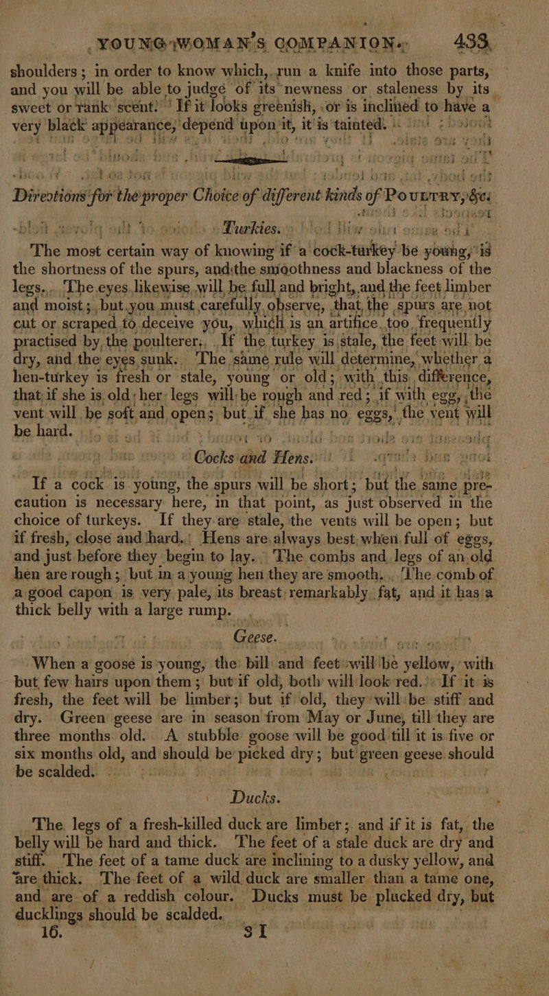 shoulders ; ; in order to know which,.run a knife into those parts, — and you will be able to judge of its newness or staleness by its sweet or rank: scent!’ If it looks greenish, or is lnoliniid to have a very black appearance,” eras aOR it, it is Bee ; wou ‘ Te Ais ¢ wd inode bere .h a bOES i od ard HTB ots ( Diveotions ae the peer » Chote of ik i ifferent kin fl Po vLTRY, 8 | eae asp 3 . : ~blod wavoly alt 46.e5i01 9 Muaktesom: bicd Hiw olur onee ody The most certain way. of knowing if a ibock-taitiey be young, ‘is the shortness of the spurs, and:the smeothness and blackness of the legs... The eyes likewise, will, be full and bright, and the feet limber and moist 3, but.you must carefully, observe, , that, the , spurs, are not cut or scraped, to. deceive you, w ni¢h is an, artifice. too, frequently practised by, the poulterer., If the turkey is stale, the feet will be dry, and the eyes sunk. | The. same rule will determine, whether a hen-turkey is fresh or ‘stale, young or old; with this. difference, that; if she is old;her legs will:be rough and red; if with egg, the vent will be soft, and Opens but, if she PA. no. eggs, the: vent will be hard. | - | ihe s svotle ots dureenoda Cooksidid Hens: 1 .qra!s hon 300 If a cock is young , the spurs will be short; but the saine pre- caution is necessary here; in that point, as just observed in the choice of turkeys. If they are stale, the vents will be open; but if fresh, close and ‘hard... Hens are always best, when full of eggs, and just before they begin to lay.. The combs and legs of an.old hen are rough; but in a-young hen they are smooth, . ‘The comb of a good capon is very pale, its breast: remarkably, fat, and it has’a thick belly with a large rump. Geese. When a goose is young, the: bill and feet: wil Be yellony with — but, few hairs upon them; butuf old, both will look red.): If it. is fresh, the feet will be limber but if old, they willbe stiff and dry. Green geese are in season from May or June, till they are three months old. A stubble goose will be good. till it is five or six months old, and should be picked dry; but’ et een a should be scalded. | Ducks. The. legs of a fresh-killed duck are limber ; and if it is fat, the belly will be hard and thick. The feet of a stale duck are dry and stiff. The feet of a tame duck are inclining to a dusky yellow, and ‘are. thick. The feet of a wild duck are smaller than a tame one, and are of a reddish colour. Ducks must be plucked dry, but ore should be scalded. v4 16. eee