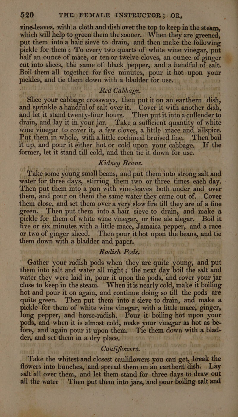 vine-leaves, with.a cloth and dish over the top to keep in the steam, which will help to green them the sooner.. When they are greened, put them into a hair sieve to drain, and then make the following pickle for them : ‘To every two quarts of white wine vinegar, put half an ounce‘of mace, or tenor twelve cloves, an ounce of ginger cut into slices, ‘the same of. black pepper, and a handful of salt. Boil them all together for five minutes, pour it hot upon your pickles, and tie them down with a bladder for use, 9) 6 i Red Cabbage. © Kidney Beans. — 7 Then put them into a pan with vine-leaves both under and over them, and pour on them the same water they came out of. Cover them close, and set them, over a very slow fire till they are of a fine green. Then put them into a hair sieve to drain, and make a pickle for them of white wine vinegar, or fine ale alegar. Boil it five or six minutes with a little mace, Jamaica pepper, and a race or two of ginger sliced. ‘Then pour it:hot upon the beans, and tie them down with a bladder and paper. Yn ahaa i. 3 Radish Pods, uty er Gather your radish pods when they are quite young, and put them into salt and water all night ; the next day Bail the salt and water they were laid in, pour it upon the pods, ‘and cover your jar close to keep in the steam. ' When it is nearly cold, make it boiling hot and pour it.on again, and continue doing so till the pods are uite green. ‘Then put them into a sieve to drain, and make a ickle for them of white wine vinegar, with a little mace,’ ginger, ong pepper, and horse-radish. Pour it’ boiling hot upon your pods, and when it is almost cold, make your vinegar as hot as be- fore, and again pour it upon them. Tie them down with a blad- der, and set'them in a dry place, Fe it tua ta Cauliflowers. eld sean ‘Fake the whitest and. closest cauliflowers you can \get, break the flowers into bunches, and spread them:on an earthern dish. ..Lay salt’ all over them, and let them.stand for three days. to'draw out all the water Then put them into jars, and pour boiling salt and