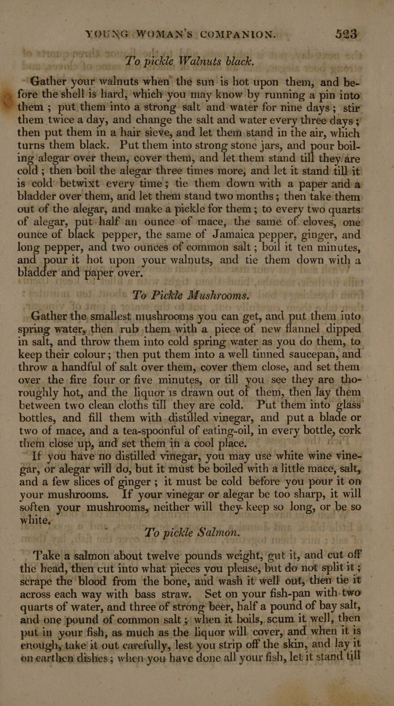 tt pickle Walnuts black. _ Gather your walnuts when the sun is hot upon them, and be- ae the shell is hard, whiely-you may know by running a pin into’ them ; put them into a strong salt and water for nine days; stir’ them twice a day, and change the salt and water every three days ¥ then put them in a hair sieve, and let them.,stand in the air, which turns them black. Put them into strong stone jars, and pour boil- ing alegar over them, cover'them, and let them stand till they/are cold ; then boil the alegar three times more, and let it stand tilbit! is cold betwixt every times ‘tie them down with a paper arid:a bladder over them, and let them stand two months; then take them out of the alegar, and make-a pickle for them; to every two quarts: of alegar, put» half an ounce of mace, the same of. cloves, one ounce of black pepper, the same of Jamaica pepper, ginger, and long pepper, and two ounces of common salt ; Bat it ten minutes, and pour it hot upon your walnuts, and tie them down with a bes - bladder and paper over. UL: ee * To Pickle Mushrooms. . Gather the, smallest mushrooms you can get, and put them into. spring water, then rub .them with a piece of new flannel. dipped in salt, and throw them into cold spring water as you do them, to keep their colour; then put them into a well tinned saucepan, and throw a handful of salt over them, cover them close, and set them over the fire four or five minutes, or till you see they are tho-— roughly hot, and the liquor 1s drawn out of them, then lay them between two clean cloths till they are cold. Put them into glass’ bottles, and fill them with.distilled vimegar, and put a blade or two of mace, and a tea-spoonful of eating-oil, in every bottle, cork them close up, and set them in a cool place. — AT “If you have no distilled vmegar, you may use white wine vine- gar, or alegar will do, but it must be boiled with a little mace, salt, and a few slices of ginger ; it must be cold before you pour it on your mushrooms. If your vinegar or alegar be too sharp, it will soften, your mushrooms, neither will they- keep so long, or be so white, ih | , rahe  _ To pickle Salmon. _ Pake'a salmon about twelve pounds weight; eut it, and cut off the head, then cut into what pieces you please, but do not split it 5 scrape the blood from the bone, and wash it’ well out, then’ tie it across each way with bass straw. Set on your fish-pan with-two quarts of water, and three of strong beer, half a pound of bay salt, and. one pound of common salt ;\ when. it boils, scum it well, then putin your fish, as much as the liquor will, cover, and when it is enoughy take! it out carefully, lest you strip off the skin, and lay it enearthen dishes; when-you have done all your fish, let it stand till