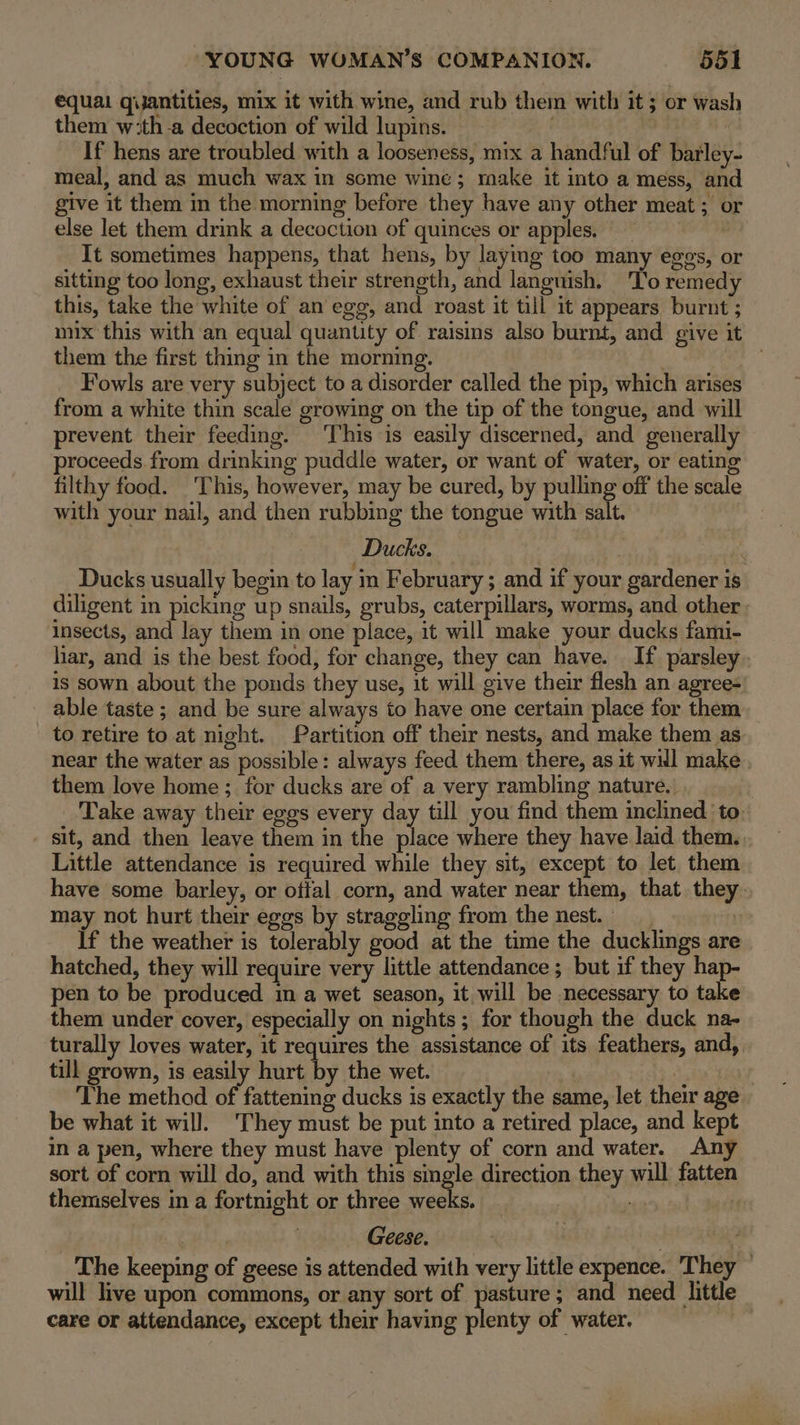 equal quantities, mix it with wine, and rub them with it; or was them w:th a decoction of wild lupins. | If hens are troubled with a looseness, mix a handful of barley- meal, and as much wax in some wine; make it into a mess, and give it them in the morning before they have any other meat; or else let them drink a decoction of quinces or apples. _ It sometimes happens, that hens, by laying too many eggs, or sitting too long, exhaust their strength, and languish. ‘T'o remedy this, take the white of an egg, and roast it till it appears burnt ; mix this with an equal quantity of raisins also burnt, and give it them the first thing in the morning. | owe Fowls are very subject to a disorder called the pip, which arises from a white thin scale growing on the tip of the tongue, and will prevent their feeding. ‘This is easily discerned, and generally proceeds from drinking puddle water, or want of water, or eating filthy food. This, however, may be cured, by pulling off the scale with your nail, and then rubbing the tongue with salt. | Ducks. Ducks usually begin to lay in February; and if your gardener is diligent in picking up snails, grubs, caterpillars, worms, and other insects, and lay them in one place, it will make your ducks fami- liar, and is the best food, for change, they can have. If parsley . is sown about the ponds they use, it will give their flesh an agree- able taste ; and be sure always to have one certain place for them to retire to. at night. Partition off their nests, and make them as near the water as possible: always feed them there, as it will make. them love home; for ducks are of a very rambling nature. ‘Take away their eggs every day till you find them inclined to. sit, and then leave them in the place where they have laid them.. Little attendance is required while they sit, except to let them have some barley, or offal corn, and water near them, that they. may not hurt their eggs by straggling from the nest. | i If the weather is tolerably good at the time the ducklings are hatched, they will require very little attendance; but if they hap- pen to be produced in a wet season, it will be necessary to take them under cover, especially on nights ; for though the duck na- turally loves water, it requires the assistance of its feathers, and, till grown, is easily hurt by the wet. . _ : The method of fattening ducks is exactly the same, let their age be what it will. They must be put into a retired place, and kept in a pen, where they must have plenty of corn and water. Any sort of corn will do, and with this single direction they will fatten themselves in a fortnight or three weeks. 43 | | Geese. . 7 The keeping of geese is attended with very little expence. ‘They — will live upon commons, or any sort of pasture; and need little care or attendance, except their having plenty of water.