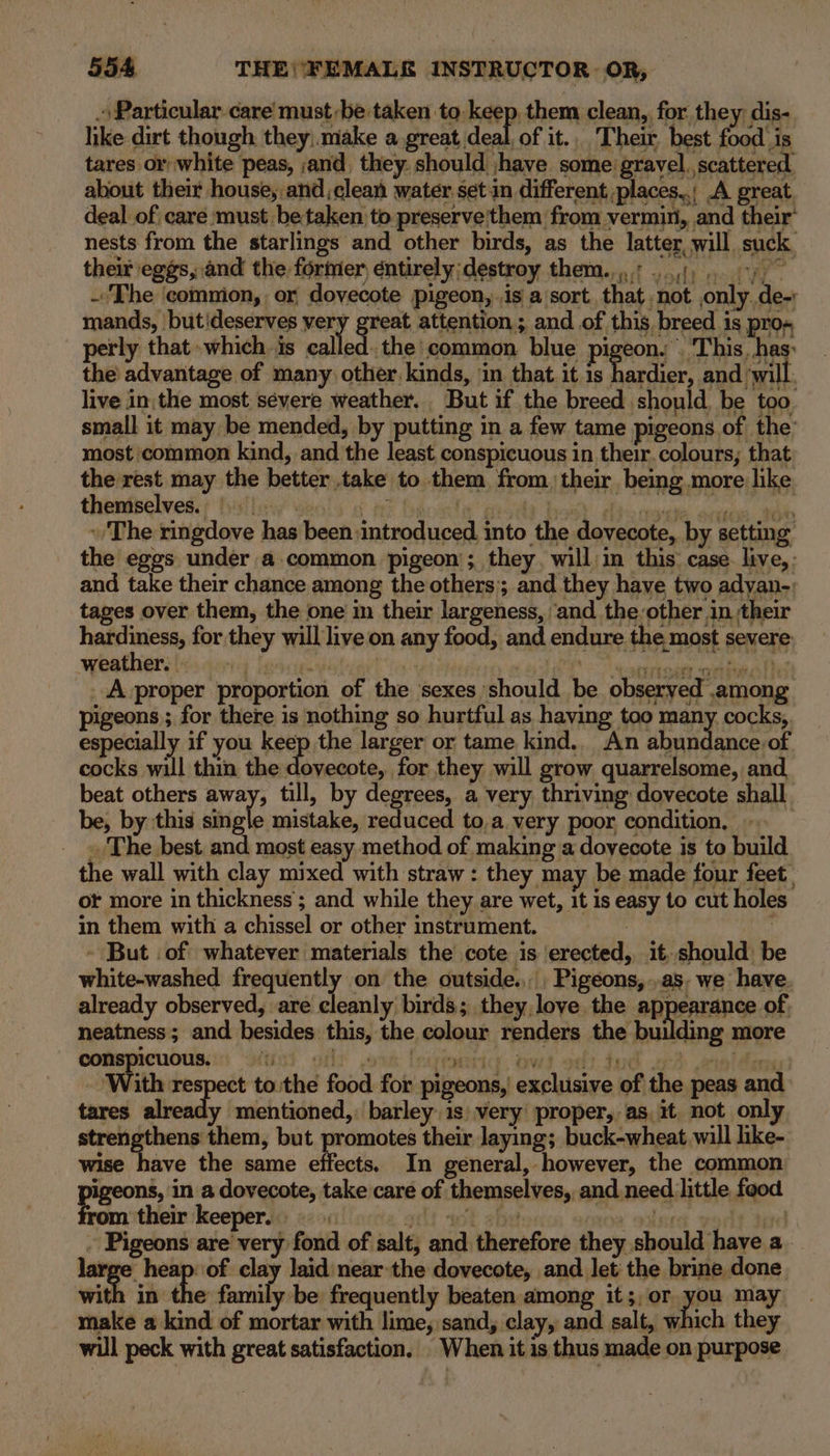 . Particular care must be taken to keep, them clean, for, they, dis- like dirt though they, make a poctideat of it., Their best food. is tares or white peas, and, they. should ;have some: gravel. scattered about their house, and,clean water. setin different places,.; A great deal of care must betaken to preserve'them from vermin, and their’ nests from the starlings and other birds, as the latter, will suck their eggs, and the former éntirely; destroy them.....:  yt , re iy “i -The ‘commion, or doyecote pigeon, is a sort. that not only. de-: mands, ‘butideserves very eat attention; and of this. breed is pro+ perly that which is called.the' common blue pi eon. . This, has: the advantage of many other kinds, in that it is hardier, and ‘will. live in. the most sévere weather. But if the breed should, be too. small it may be mended, by putting in a few tame pigeons of the: most common kind, and the least conspicuous in their. colours; that the rest may the better take to them from their being more like thentselvedis Ivsilieiy seslo 6 nF Bho le Sit best dcaaae arees Wh The ringdove has been:introduced, into the dovecote, by setting the eggs under a.common pigeon’; they. will in this’ case. live, : and take their chance among the others’; and they have two adyan-) tages over them, the one in their largeness, ‘and the-other in their hardiness, for they will live on any food, and endure the most severe weather. 5 bisa dos . 12nP oo ecahtrhadin eighth . A-proper proportion of the sexes should be observed .among pigeons; for there is nothing so hurtful as having too pay cocks, especially if you peep the larger or tame kind.. An abundance of cocks will thin the dovecote, for they will grow quarrelsome, and beat others away, till, by degrees, a very thriving dovecote shall be, by this single mistake, reduced to,a very poor, condition. . . The best and most easy method of making a dovecote is to build the wall with clay mixed with straw : they may be made four feet ot more in thickness; and while they are wet, it is easy to cut holes in them with a chissel or other instrument. | | - But .of whatever materials the cote is erected, it,should be white-washed frequently on the outside... Pigeons, ..as. we have. already observed, are cleanly birds; they, love the appearance of, neatness; and besides this, the colour renders fe more conspicuous. ete gir ,4 eehi rite ; i “a wt Sarthe: ote! cans With ce a to.the food for pigeons, exclusive of the peas and tares already mentioned, barley is) very’ proper, as, it not only strengthens them, but promotes their laying; buck-wheat will like- wise have the same effects. In general, however, the common Pigeons, in a dovecote, take care of themselves, and need little food m their eeper. alt at abe 2 glen: 1¥ beye} . Pigeons are very fond of salt, and therefore they should have a. rge heap. of clay laid near the dovecote, and let the brine done with in the family be frequently beaten among it ;, or yon ma make a kind of mortar with lime, sand, clay, and salt, which they will peck with great satisfaction. When it is thus made on purpose