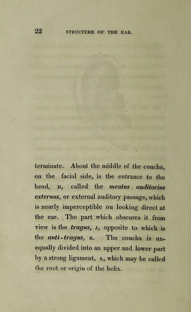 terminate. About the middle of the concha, on the facial side, is the entrance to the head, h, called the meatus auditorius externus, or external auditory passage, which is nearly imperceptible on looking direct at the ear. The part which obscures it from view is the tragus, j, opposite to which is the anti-tragus, k. The concha is un¬ equally divided into an upper and lower part by a strong ligament, l, which may be called the root or origin of the helix.