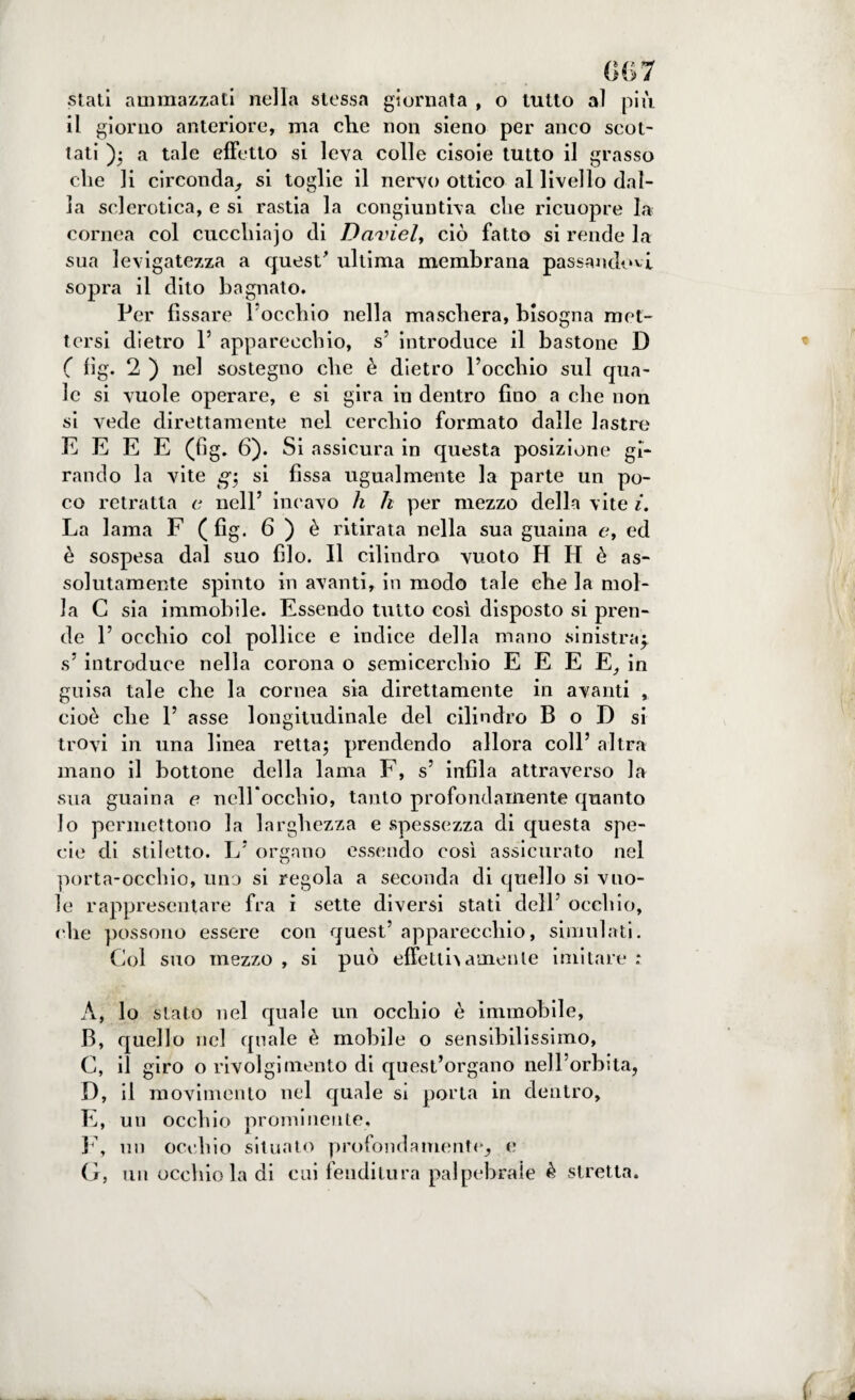 stati ammazzati nella stessa giornata , o tutto al più il giorno anteriore, ma che non sieno per anco scot¬ tati )• a tale effetto si leva colle cisoie tutto il grasso che li circonda, si toglie il nervo ottico al livello dal¬ la sclerotica, e si rastia la congiuntiva che ricuopre la cornea col cucchiajo di Daviel, ciò fatto si rende la sua levigatezza a quest ultima membrana passandovi sopra il dito bagnato. Per fissare l’occhio nella maschera, bisogna met¬ tersi dietro 1’ apparecchio, s’ introduce il bastone D ( fìg. 2 ) nel sostegno che è dietro l’occhio sul qua¬ le si vuole operare, e si gira in dentro fino a che non si vede direttamente nel cerchio formato dalle lastre E E E E (fig. 6). Si assicura in questa posizione gi¬ rando la vite g-, si fissa ugualmente la parte un po¬ co retratta c nell’ incavo h h per mezzo della vite i. La lama F (fig. 6 ) è ritirata nella sua guaina e, ed è sospesa dal suo filo. Il cilindro vuoto H H è as¬ solutamente spinto in avanti, in modo tale che la mol¬ la C sia immobile. Essendo tutto così disposto si pren¬ de 1’ occhio col pollice e indice della mano sinistrai s’ introduce nella corona o semicerchio E E E E, in guisa tale che la cornea sia direttamente in avanti , cioè che 1’ asse longitudinale del cilindro B o D si trovi in una linea retta; prendendo allora coll’ altra mano il bottone della lama F, s’ infila attraverso la sua guaina e nell occhio, tanto profondamente quanto Io permettono la larghezza e spessezza di questa spe¬ cie di stiletto. L’ organo essendo così assicurato nel porta-occhio, uno si regola a seconda di quello si vuo¬ le rappresentare fra i sette diversi stati dell occhio, che possono essere con quest’ apparecchio, simulati. Gol suo mezzo , si può effetti aulente imitare : A, lo stato nel quale un occhio è immobile, B, quello nel quale è mobile o sensibilissimo, C, il giro o rivolgimento di quest’organo nell’orbita, D, il movimento nel quale si porta in dentro, E, un occhio prominente, F, un occhio situato profondamente, e G, un occhio la di cui fenditura palpebrale è stretta. a