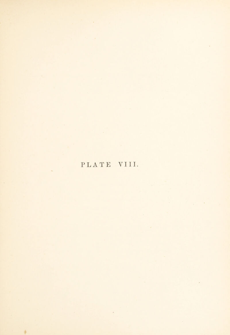 PLATE VIII.