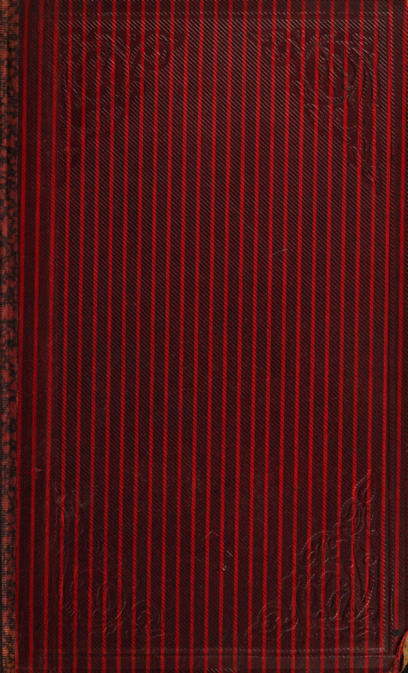 Kets Ws se . Sie Or SSO i, SOS ‘\, Sate aN ‘ ce, he ae rt, &gt;. = Se ee a,