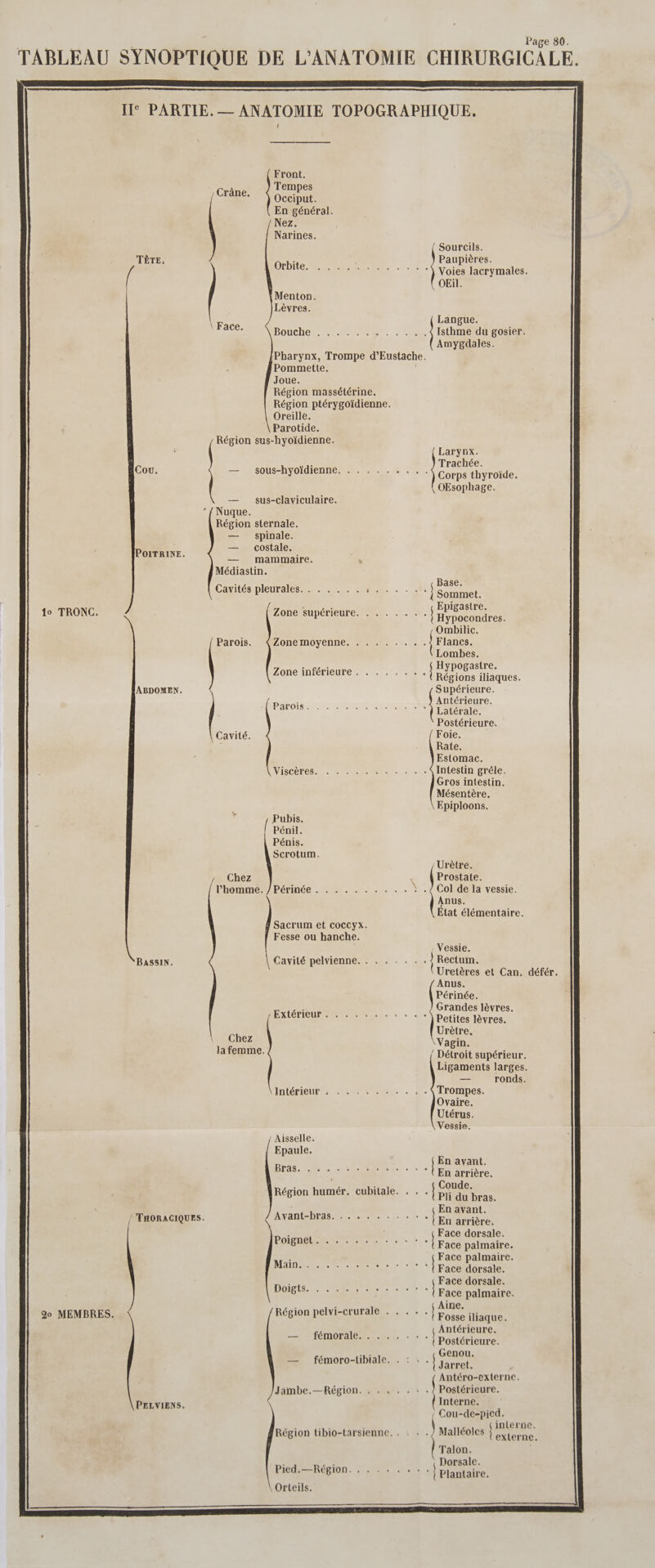 Page 80. TABLEAU SYNOPTIQUE DE L'ANATOMIE CHIRURGICALE, IT° PARTIE. — ANATOMIE TOPOGRAPHIQUE. Front. x Tempes Grâpe. Occiput. En général. Nez. Narines. Sourcils. TÈTE, à Paupières. OPDÉC RME ER - 17. Voies lacrymales. OEül. Menton Lèvres | Face Langue. | $ BOUCHE PE TE. CPR Isthme du gosier. Amygdales. Pharynx, Trompe d’Eustache. Pommette. Joue. Région massétérine. Région ptérygoïdienne. Oreille. Parotide. Région sus-hyoïdienne. Larynx. Cou. — sous-hyoïdienne. . . . . . , . .. ne | OEsophage. — sus-claviculaire. * {Nuque. Région sternale. — Spinale. — costale. POITRINE. — mammaire. Médiastin. Cavités pleurales. . . . . . . A . Ne | RÉ 10 TRONC. [ Zone supérieure. . . . . . …. pare AA Ombilic. Parois. ZONCMOVÈNTE RER Flancs. Lombes. | ZOnenIérieUTE ee. ee - Re daques ABDOMEN. Supérieure. . Antérieure. APATOÏS TETE RER ie Postérieure. Cavité. Foie. Rate. Estomac. MISCORES se: re Re elle Intestin grêle. Gros intestin. Mésentère. Epiploons. \ Pubis. Pénil. Pénis. Scrotum. Urètre. Chez , AProstate. l'homme. / Périnée . . . . . . . . . . ; .{ Col de la vessie. Anus. État élémentaire. Sacrum et coccyx. Fesse ou hanche. , Vessie. BASSIN. | Cavité pelvienne. . . . . . . . Rectum. Uretères et Can. défér. Anus. Périnée. É Grandes lèvres. EXIOTICURE EE 0 2 = dr Petifét léSres, Urètre. Chez Vagin. la femme. / Détroit supérieur. Ligaments larges. — ronds. intérieur: 1400.64. . L. Trompes. Ovaire. Utérus. Vessie. | Aisselle. Epaule, En avant. Bras. . . pe NT OURS Ferre Région humér. cubitale. . . . RE | THORACIQUES. Ayant-bras, UE 0. à (ea “er : Face dorsale. ROMA PRE + à Faro lmdires : Face palmaire. LES ER EEE Face dorsale. ; Face dorsale. DOI RS ER Lee 0e Face palmaire. . : Aine. 20 MEMBRES. Région pelvi-crurale . . . . . Tree iliaque. Antérieure. — A ÉÉMOTAIE Se + » MPa, — fémoro-tibiale. . : + . {Smet Antéro-externe. Jambe.—Région. , |Poutrure. PELVIENS. Interne. Cou-de-pied. Région tibio-tarsienne. . : . PR»: penge | Talon. \ € _e Dorsale. Pied.—Région. . . . . . . : : | Plantaire. Orteils.