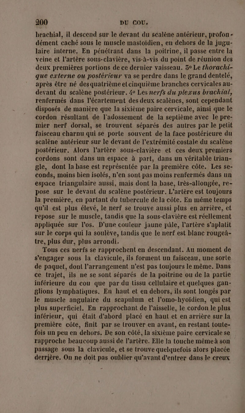 brachial, il descend sur le devant du scalène antérieur, profon - dément caché sous le muscle mastoïdien, en dehors de la jugu- laire interne, En pénétrant dans la poitrine, il passe entre la veine et l'artère sous-clavière, vis-à-vis du point de réunion des deux premières portions de ce dernier vaisseau. 5° Le {horachi- que externe ou postérieur va se perdre dans le grand dentelé, après être né desquatrième etcinquième branches cervicales au- devant du scalène postérieur. 4° Les nerfs du plexus brachial, renfermés dans l’écartement des deux scalènes, sont cependant disposés de manière que la sixième paire cervicale, ainsi que le cordon résultant de l'adossement de la septième avec le pre- mier nerf dorsal, se trouvent séparés des autres par le pelit faisceau charnu qui se porte souvent de la face postérieure du scalène antérieur sur le devant de l'extrémité costale du scalène postérieur. Alors l'artère sous-clavière et ces deux premiers cordons sont dans un espace à part, dans un véritable trian- gle, dont la base est représentée par la première côte. Les se- conds, moins bien isolés, n’en sont pas moins renfermés dans un espace triangulaire aussi, mais dont la base, lrès-allongée, re- pose sur le devant du scalène postérieur. L’artère est toujours la première, en partant du tubercule de la côte. En même temps qu'il est plus élevé, le nerf se trouve aussi plus en arrière, et repose sur le muscle, tandis que la sous-clavière est réellement appliquée sur l'os. D'une couleur jaune pâle, l'artère s’aplatit sur le corps qui la soulève, tandis que le nerf est blanc rougeà- tre, plus dur, plus arrondi. Tous ces nerfs se rapprochent en descendant. Au moment de s'engager sous la clavicule, ils forment un faisceau, une sorte de paquet, dont l’arrangement n'est pas toujours le même. Dans ce trajet, ils ne se sont séparés de la poitrine ou de la partie inférieure du cou que par du tissu cellulaire et quelques gan- glions lymphatiques. En haut et en dehors, ils sont longés par le muscle angulaire du scapulum et l’omo-hyoïdien, qui est plus superficiel, En rapprochant de l’aisselle, le cordon le plus inférieur, qui était d'abord placé en haut et en arrière sur la première côte, finit par se trouver en avant, en restant toute- fois un peu en dehors. De son côté, la sixième paire cervicale se rapproche beaucoup aussi de l'artère. Elle la touche même à son passage sous la clavicule, et se trouve quelquefois alors placée derrière. On ne doit pas oublier qu'avant d'entrer dans le creux