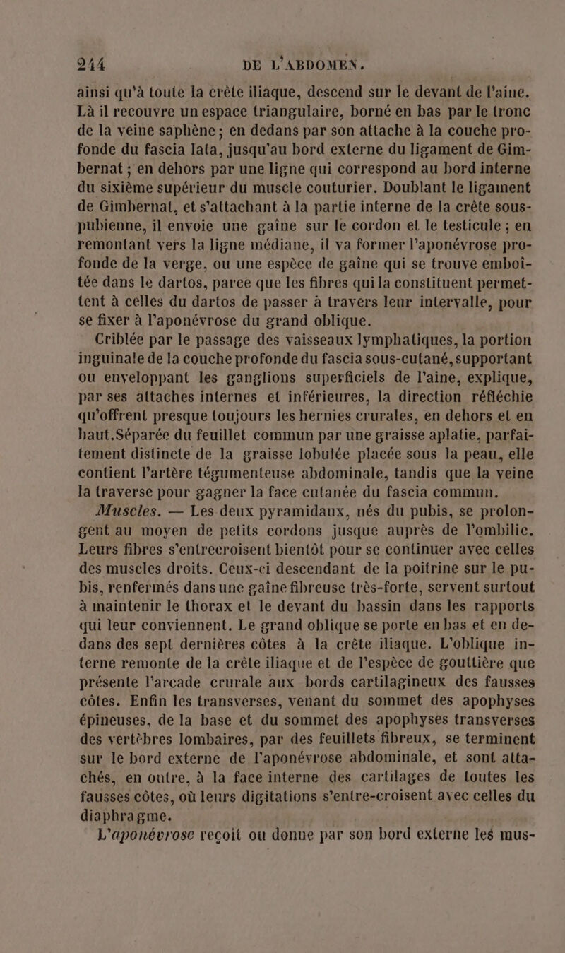 ainsi qu'à toute la crète iliaque, descend sur le devant de l'aine. Là il recouvre un espace triangulaire, borné en bas par le tronc de la veine saphène ; en dedans par son attache à la couche pro- fonde du fascia lata, jusqu'au bord externe du ligament de Gim- bernat ; en dehors par une ligne qui correspond au bord interne du sixième supérieur du musele couturier. Doublant le ligament de Gimbernat, et s’attachant à la partie interne de la crête sous- pubienne, il envoie une gaine sur le cordon el le testicule ; en remontant vers la ligne médiane, il va former l’aponévrose pro- fonde de la verge, ou une espèce de gaine qui se trouve emboi- tée dans le dartos, parce que les fibres qui la constituent permet- tent à celles du dartos de passer à travers leur intervalle, pour se fixer à l’aponévrose du grand oblique. Criblée par le passage des vaisseaux lymphatiques, la portion inguinale de la couche profonde du fascia sous-cutané, supportant ou envyeloppant les ganglions superficiels de l’aine, explique, par ses attaches internes et inférieures, la direction réfléchie qu'offrent presque toujours les hernies crurales, en dehors el en haut.Séparée du feuillet commun par une graisse aplatie, parfai- tement distincte de la graisse lobulée placée sous la peau, elle contient l'artère tégumenteuse abdominale, tandis que la veine la traverse pour gagner la face cutanée du fascia commun. Muscles. — Les deux pyramidaux, nés du pubis, se prolon- gent au moyen de petits cordons jusque auprès de l’ombilic. Leurs fibres s’entrecroisent bientôt pour se continuer avec celles des muscles droits. Ceux-ci descendant de la poitrine sur le pu- bis, renfermés dans une gaine fibreuse très-forte, servent surtout à maintenir le thorax et le devant du bassin dans les rapports qui leur conviennent. Le grand oblique se porte en bas et en de- dans des sept dernières côtes à la crête iliaque. L’oblique in- terne remonte de la crêle iliaque et de l’espèce de gouttière que présente l’arcade crurale aux bords cartilagineux des fausses côtes. Enfin les transverses, venant du sommet des apophyses épineuses, de la base et du sommet des apophyses transverses des vertèbres lombaires, par des feuillets fibreux, se terminent sur le bord externe de l'aponévrose abdominale, et sont atta- chés, en outre, à la face interne des cartilages de Loutes les fausses côtes, où leurs digitations s’entre-croisent avec celles du diaphragme. L'aponévrose recoit ou denne par son bord externe les mus-