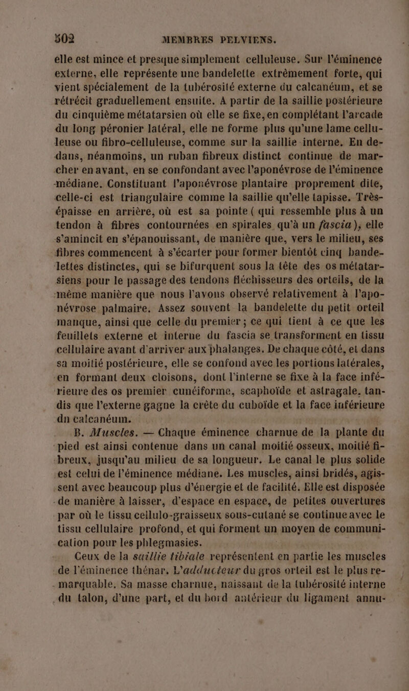 elle est mince et presque simplement celluleuse. Sur l’'éminence externe, elle représente une handelette extrèmement forte, qui vient spécialement de la tubérosité externe du calcanéum, et se rétrécit graduellement ensuite. À partir de la saillie postérieure du cinquième métatarsien où elle se fixe, en complétant l’arcade du long péronier latéral, elle ne forme plus qu’une lame cellu- leuse ou fibro-celluleuse, comme sur la saillie interne, En de- dans, néanmoins, un ruban fibreux distinct continue de mar- Cher enavant, en se confondant avec l’aponévrose de l’éminence médiane. Constituant l’aponévrose plantaire proprement dite, celle-ci est triangulaire comme la saillie qu’elle tapisse. Très- épaisse en arrière, où est sa pointe ( qui ressemble plus à un tendon à fibres contournées en spirales qu'à un /ascia), elle s’amincit en s’épanouissant, de manière que, vers le milieu, ses fibres commencent à s’écarter pour former bientôt cinq bande- Jettes distinctes, qui se bifurquent sous la tête des os mélatar- siens pour le passage des tendons fléchisseurs des orteils, de la ‘même manière que nous l'avons observé relativement à l’apo- névrose palmaire, Assez souvent la bandeleite du petit orteil manque, ainsi que celle du premier ; Ce qui tient à ce que les feuillets externe et interue du fascia se transforment en tissu cellulaire avant d'arriver aux phalanges. De chaque côté, et dans sa moitié postérieure, elle se confond avec les portions latérales, en formant deux cloisons, dont l'interne se fixe à la face infé- rieure des os premier cunéiforme, scaphoïde et astragale. tan- dis que l’externe gagne la crête du cuboïde et la face inférieure dn calcanéum. B. Muscles. — Chaque éminence charnue de la plante du “pied est ainsi contenue dans un canal moitié osseux, moitié fi- -breux, jusqu'au milieu de sa longueur. Le canal le plus solide est celui de l’éminence médiane. Les muscles, ainsi bridés, agis- sent avec beaucoup plus d'énergie et de facilité. Elle est disposée -de manière à laisser, d'espace en espace, de petites ouvertures par où le tissu cellulo-graisseux sous-culané se continue avec le tissu cellulaire profond, et qui forment un 00700 de communi- cation pour les phlegmasies. Ceux de la saillie tibiale représentent en parlie les muscles de l'éminence thénar, L'adducteur du gros orteil est le plus re- - marquable, Sa masse charnue, naissant de la (ubérosité interne du talon, d’une part, et du boïd añtérieur du ligament annu-