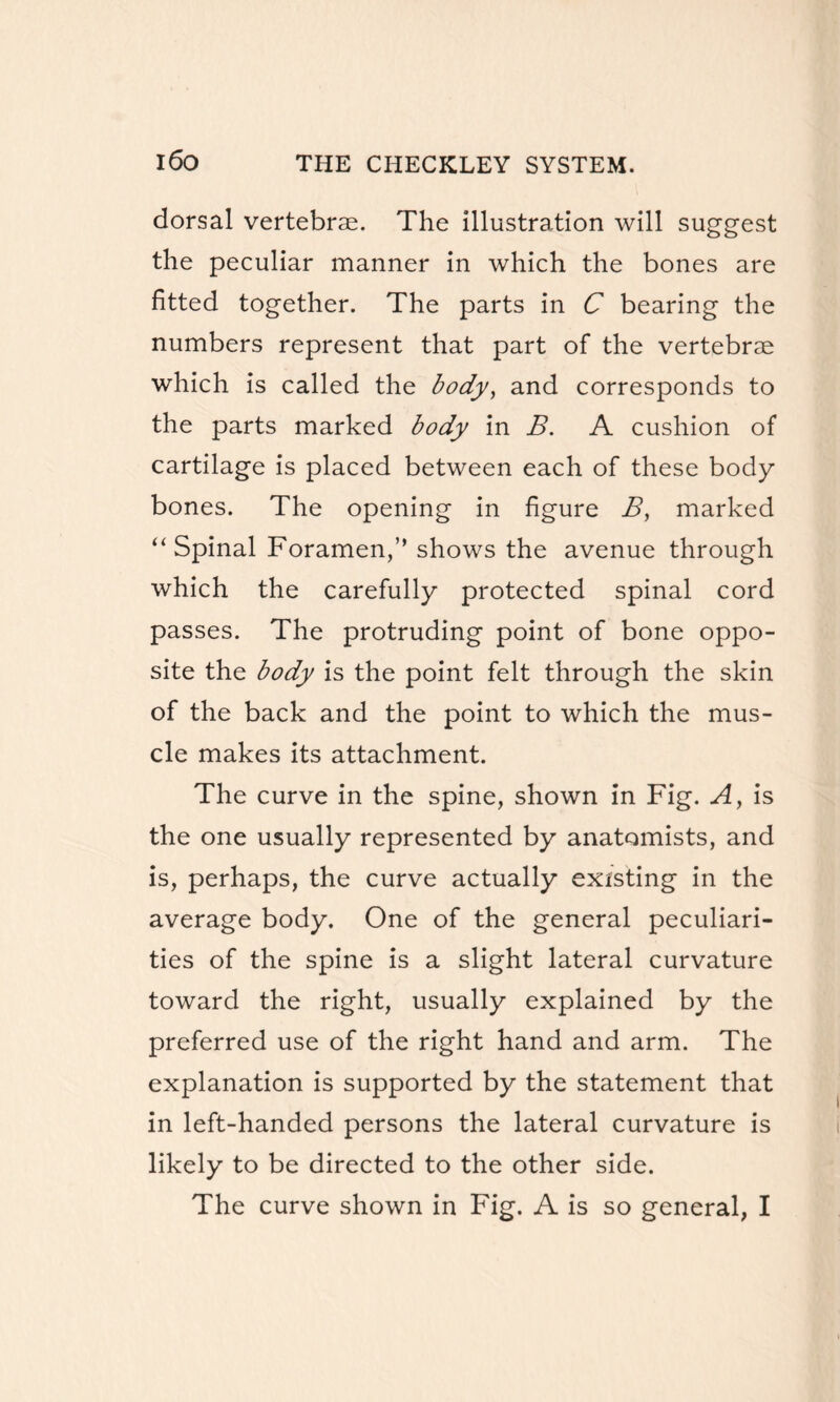 dorsal vertebrse. The illustration will suggest the peculiar manner in which the bones are fitted together. The parts in C bearing the numbers represent that part of the vertebrae which is called the body, and corresponds to the parts marked body in B. A cushion of cartilage is placed between each of these body bones. The opening in figure B, marked “ Spinal Foramen,’’ shows the avenue through which the carefully protected spinal cord passes. The protruding point of bone oppo¬ site the body is the point felt through the skin of the back and the point to which the mus¬ cle makes its attachment. The curve in the spine, shown in Fig. A, is the one usually represented by anatomists, and is, perhaps, the curve actually existing in the average body. One of the general peculiari¬ ties of the spine is a slight lateral curvature toward the right, usually explained by the preferred use of the right hand and arm. The explanation is supported by the statement that in left-handed persons the lateral curvature is likely to be directed to the other side. The curve shown in Fig. A is so general, I