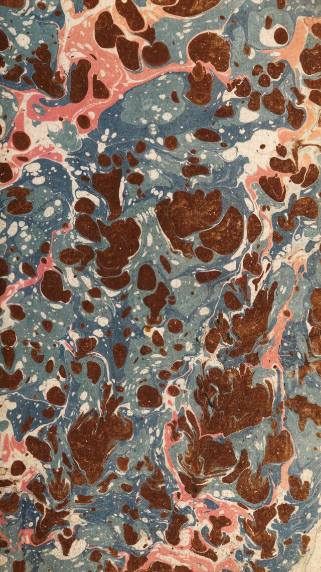 No text description is available for this image