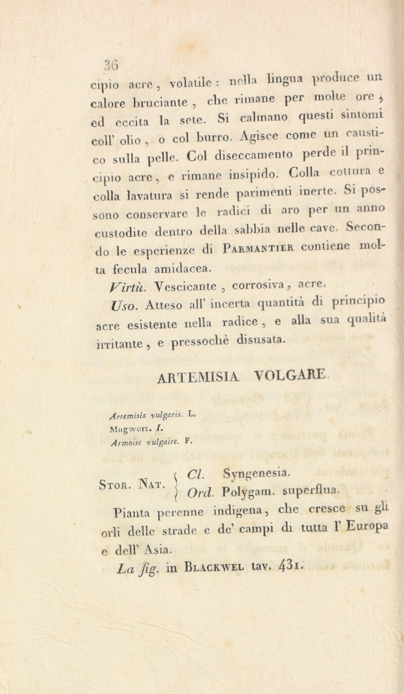 cipio acre , volai,le : nella lingua produce un calore bruciante , che rimane per molle ore j ed eccita la sete. Si calmano questi sintomi coll’ olio , o col burro. Agisce come un causa- co sulla polle. Col diseccamene perde il prin- cipio acre, e rimane insipido. Colla coltura e colla lavatura si rende parimenti inerte. Si pos- sono conservare le radici di aro per un anno custodite dentro della sabbia nelle cave. Secon- do le esperienze di Parmantier contiene mol- ta fecula amidacea. Virtù. Vescicante, corrosiva, acre. Uso. Atteso all’ incerta quantità di principio acre esistente nella radice, e alla sua qualità irritante, e pressoché disusata. ARTEMISIA VOLGARE Artemisia vulgaris. L. Mugworc. /. Armoise vulgaire. F. c Ci Syngenesia. Stor. 1 Al. Polygam. superflua. Pianta perenne indigena, che cresce su gli. orli delle strade e de campi di tutta Y Europa e dell1 Asia. La fig. in Blackwel tav. 431-