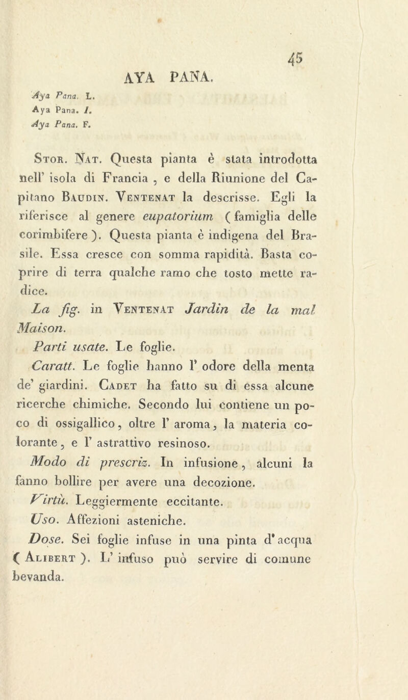 Aya. Pana. L. Aya Pana. /. Aya Pana. F. aya pana. 45 Stor. Nat. Questa pianta è stata introdotta nell’ isola di Francia , e della Riunione del Ca- pitano Baudin. Ventenat la descrisse. Egli la riferisce al genere eupatorium ( famiglia delle corimbifere ). Questa pianta è indigena del Bra- sile. Essa cresce con somma rapidità. Basta co- prire di terra qualche ramo che tosto mette ra- dice. La fig. in Yentenat Jardin de la mal Maison. Parti usate. Le foglie. Caratt. Le foglie hanno 1* odore della menta de’ giardini. Cadet ha fatto su di essa alcune ricerche chimiche. Secondo lui contiene un po- co di ossigallico, oltre F aroma, la materia co- lorante , e r astrattivo resinoso. Modo di prescriz. In infusione, alcuni la fanno bollire per avere una decozione. Virtù. Leggiermente eccitante. Uso. Affezioni asteniche. Dose. Sei foglie infuse in una pinta d* acqua ( Alibert ). L’ infuso può servire di comune bevanda.