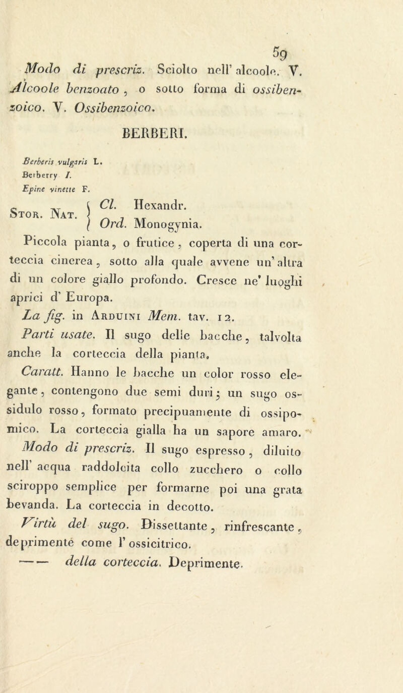 Modo di prescriz. Sciolto nell’ alcoole. V. » jilcoole bcnzoato , o sotto forma di ossiben- zoico. V. Ossibenzoico. BERBERI. Berberi} vai gì rii L. Berberry 1. Epine vintue F. Stor. Nat. CI. Hexandr. Ord. Monogynia. Piccola pianta, o frutice, coperta di una cor- teccia cinerea , sotto alla quale avvene un’altra di un colore giallo profondo. Cresce ne* luoghi aprici d’ Europa. La fig. in Arduini Meni. tav. 12. Parti usate. Il sugo delie bacche, talvolta anche la corteccia della pianta. Carati. Hanno le bacche un color rosso ele- gante , contengono due semi duri • un sugo os- sidulo rosso, formato precipuamente di ossipo- mico. La corteccia gialla ha un sapore amaro. Modo di prescriz. Il sugo espresso, diluito iteli acqua raddolcita collo zucchero o collo sciroppo semplice per formarne poi una grata bevanda. La corteccia in decotto. T^irtii del sugo. Dissellante, rinfrescante, deprimente come 1’ossicitrico. della corteccia. Deprimente-