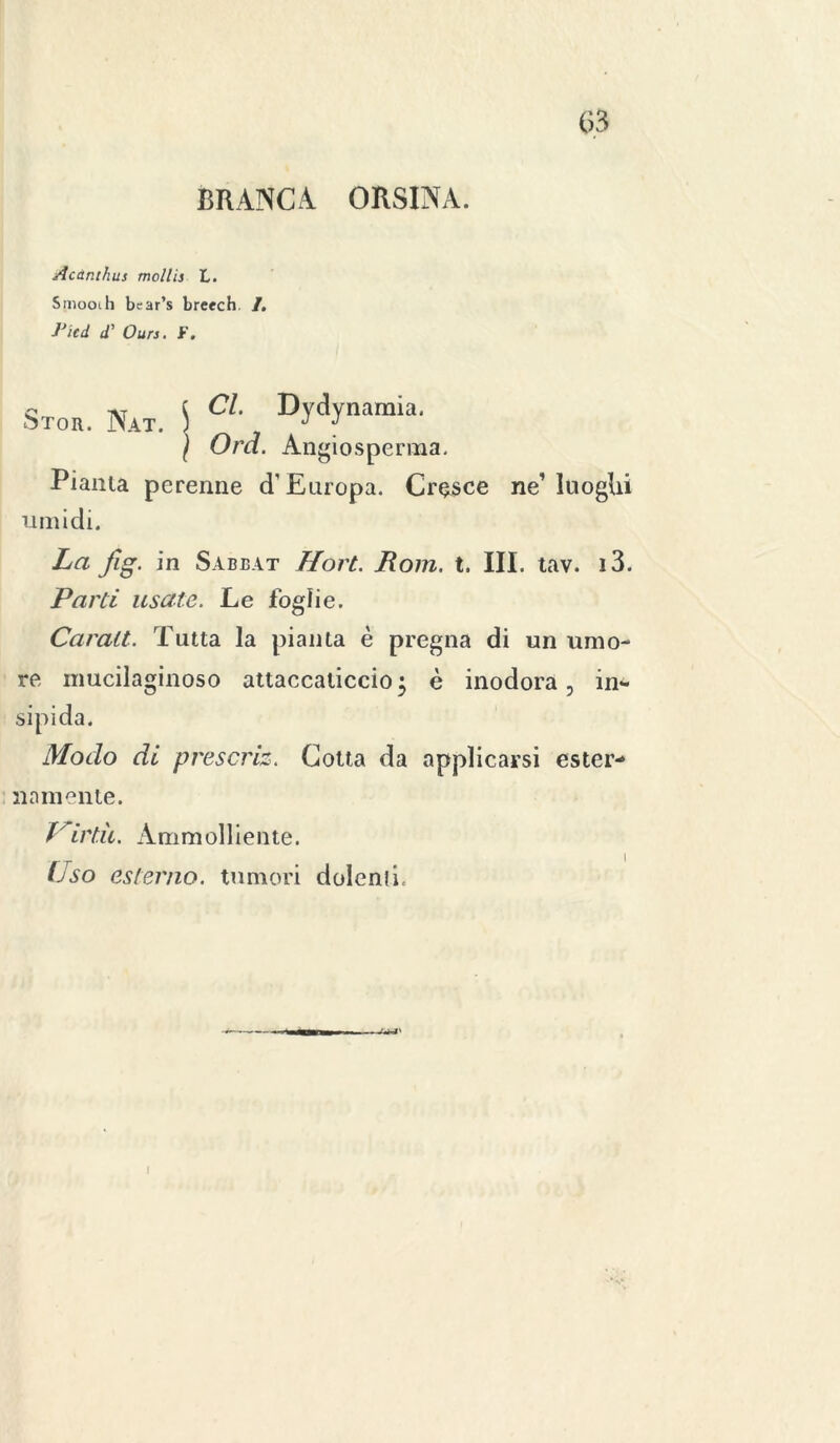 BRANCA ORSINA. Acànthus mollis L. Smooih bear’s breech /. J’icd d’ Ours. F. Stor. Nat. \ Cl Dydynamia' \ Ord. Angio sperma. Pianta perenne d’Europa. Cresce ne1 luoghi umidi. La jìg. in Sabbat Tlort. Rom. t. III. tav. i3. Pani usate. Le foglie. Caralt. Tutta la pianta è pregna di un umo- re mucilaginoso attaccaticcio ; è inodora, in- sipida. Modo di prescriz. Cotta da applicarsi ester- namente. f inii. Ammolliente. Cso esterno, tumori doleniL I