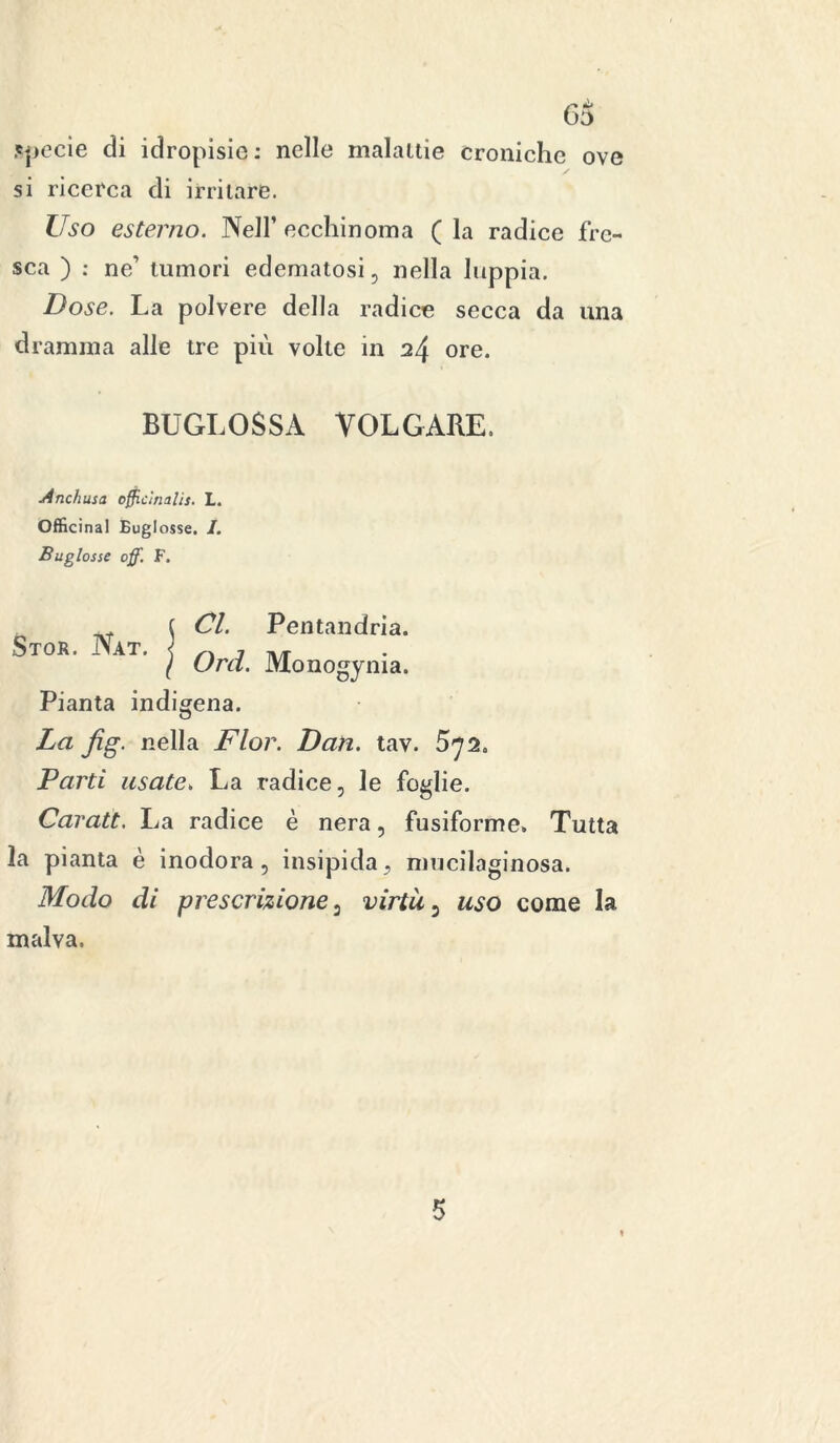 63 specie di idropisie: nelle malattie croniche ove si ricerca di irritare. Uso esterno. Nell’ecchinorna ( la radice fre- sca ) : ne’’ tumori edematosi, nella luppia. Dose. La polvere della radice secca da una dramma alle tre più volte in 24 ore. BUGLOSSA VOLGARE, Anc/iusa officinali. L. Officinal Buglosse. I. Buglosse off. F. Stor. Nat. Cl. Pentandria. Ord. Monogynia. Pianta indigena. La Jìg. nella Fior. Dan. tav. 5^2. Parti usate» La radice, le foglie. Caratt. La radice è nera, fusiforme» Tutta la pianta è inodora, insipidas mucilaginosa. Modo di prescrizione 3 virtù 5 uso come la malva.