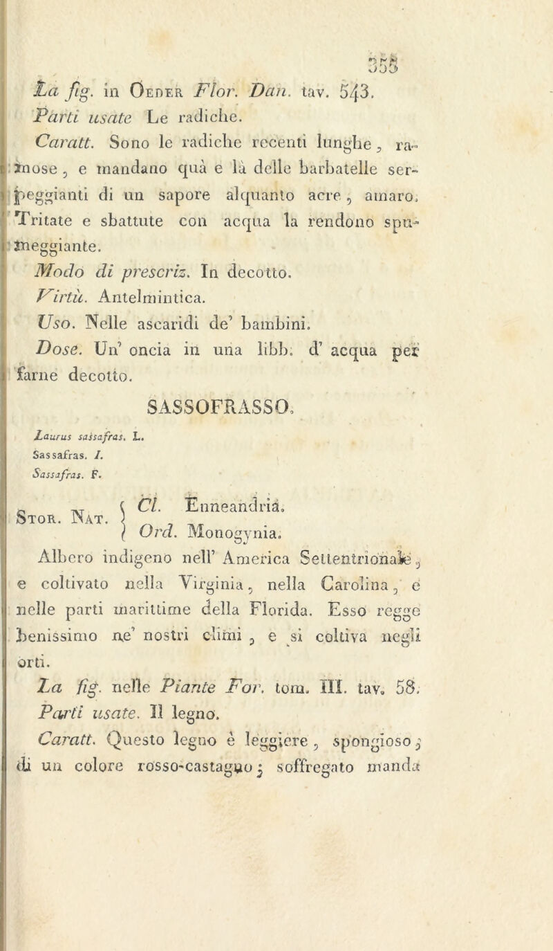 Parti usate Le radiche. Caratt. Sono le radiche recenti lunghe s ra- mose , e mandano qua e là delle barbatelle ser- peggianti di un sapore alquanto acre , amaro. Tritate e sbattute con acqua la rendono spu- meggiante. Modo di prescriz. In decotto. Finii. Antelmintica. Uso. Nelle ascaridi de’ bambini. Dose. Un oncia in una libi), d’ acqua per farne decotto. SASSOFKASSO, Laurus sassafras. L. Sassafras. I. Sassafras. F. Stor. Nat. Cl. Ènneahdrià. Ord. Monogenia. Albero indigeno nell’ America Seltetìtrionaie e coltivato nella Virginia, nella Carolina, e nelle parti marittime della Florida. Esso regge benissimo Ae’ nostri climi , e si coltiva negli orti. La fig. nelle Piante For, tom. III. tav» 58. Pasti usate. Il legno. Caratt. Questo legno è leggiere , spongioso j di un colore rosso-castagno 3 soffregato manda
