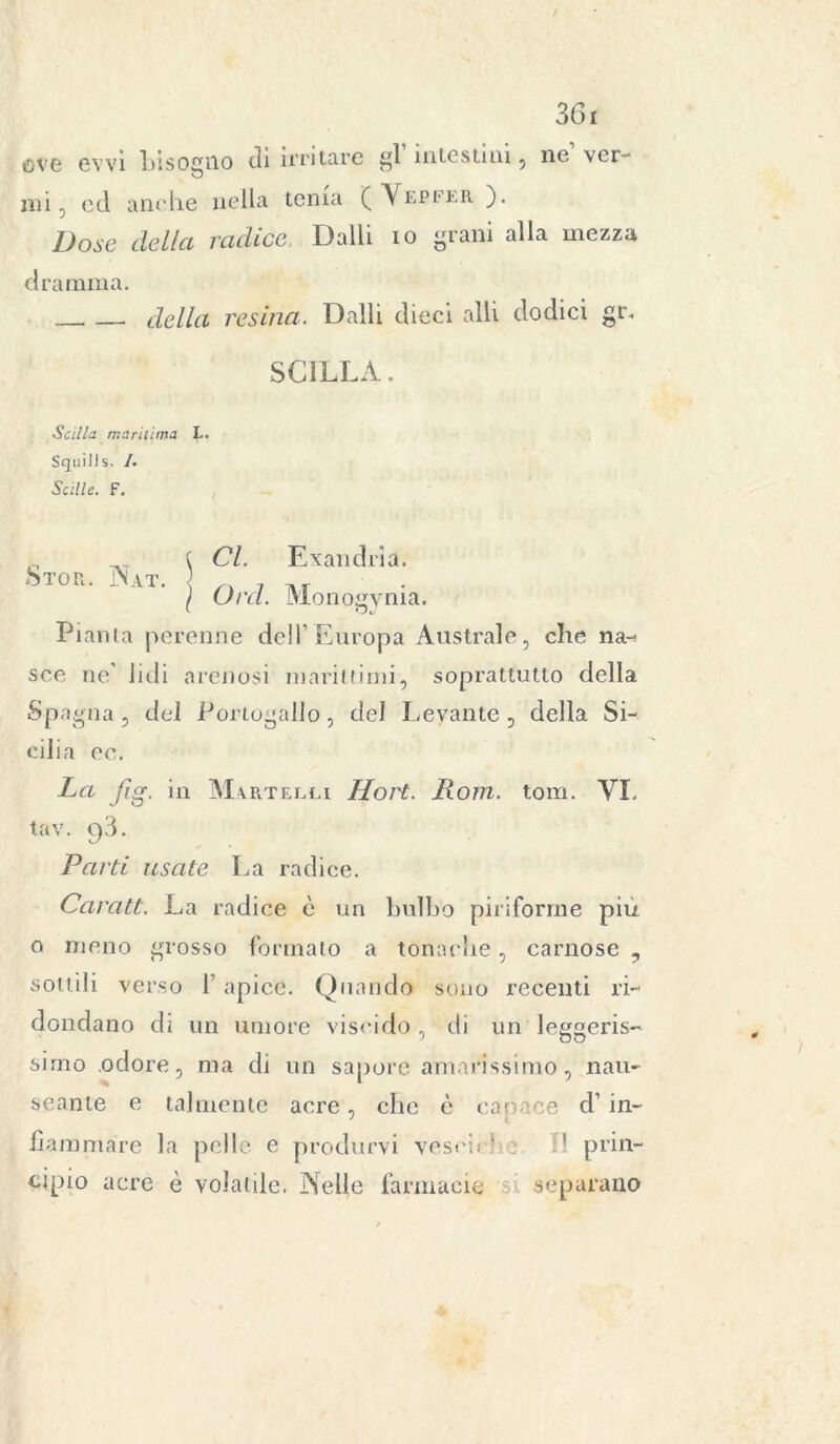 ove evvì bisogno di irritare gl intestini, ne ver- mi, ed anche nella tenia ( Vepfer ). Dose deila radice Dalli io grani alla mezza dramma. . della resina. Dalli dieci alli dodici gr. SCILLA.. •Scilla marilima L. Sqtiiils. /. Sedie. F. Cl. Exandria. Ord. Monogynia. Pianta perenne dell’Europa Australe, che na-< sce ne’ lidi arenosi marittimi, soprattutto della Spagna, dei Portogallo, del Levante, della Si- cilia ec. La jìg. in Martelli Hort. Rotti, torri. YL tav. 9ÌL Carati. La radice è un bulbo piriforme più o meno grosso formato a tonache, carnose , dondano di un umore viscido , di un leggeris- simo odore, ma di un sapore amarissimo, nau- seante e talmente aere, che è capace d’in- fiammare la pelle e produrvi vescirb*. ' prin- cipio acre è volatile. Nelle farmacie separano