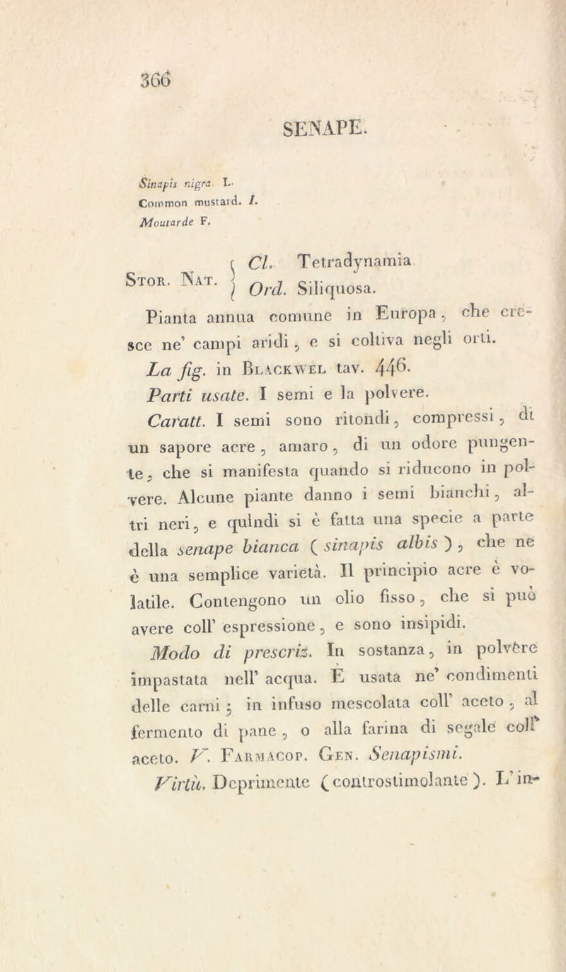 SENAPE. Sinapis nigra. E Common mustaid. /. Moutarde F. ^ CL Tetradynamia Stor. Nat. j Qrd Siliquosa. Pianta annua comune in Europa, che cre- sce ne’ campi aridi, e si coltiva negli olii. La fig. in BlACK\vel tav. 44^- Parti usate. I semi e la polvere. Caratt. I semi sono ritondi, compressi, dì un sapore acre , amaro, di un odore pungen- te; che si manifesta quando si riducono in pol- vere. Alcune piante danno i semi bianchi, al- tri neri, e quindi si è fatta una specie a parte della senape bianca ( sirtapis albis ) , che ne è una semplice varietà. Il principio acre è vo- latile. Contengono un olio fisso, che si può avere colf espressione, e sono insipidi. Modo di prescriz. In sostanza, in polvere impastata nell’ acqua. E usata ne condimenti delle carni j in infuso mescolata coll aceto , al fermento di pane , o alla farina di segale coll aceto. V'. Farmacop. Gen. Senapismi. Virtù. Deprimente (controstimolante ). L’in-