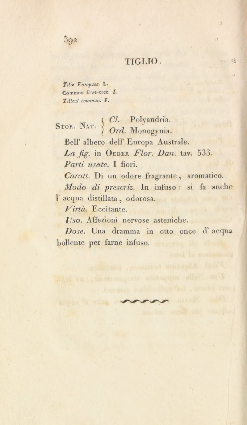 TIGLIO - Ti li* Europaea• L. Common lime-tree. /. Tilleul commuti. F. Stor. Nat. Cl. Poliandria. Ord. Monogenia. Bell’ albero dell’ Europa Australe. La fig. in Oeder Fior. Dan. tav. 533. Parti usate. I fiori. Carati. Di un odore fragrante , aromatico. Modo di prescriz. In infuso : si fa anche V acqua distillata, odorosa. Virtù. Eccitante. Uso. Affezioni nervose asteniche. Dose. Una dramma in otto once cV acqua