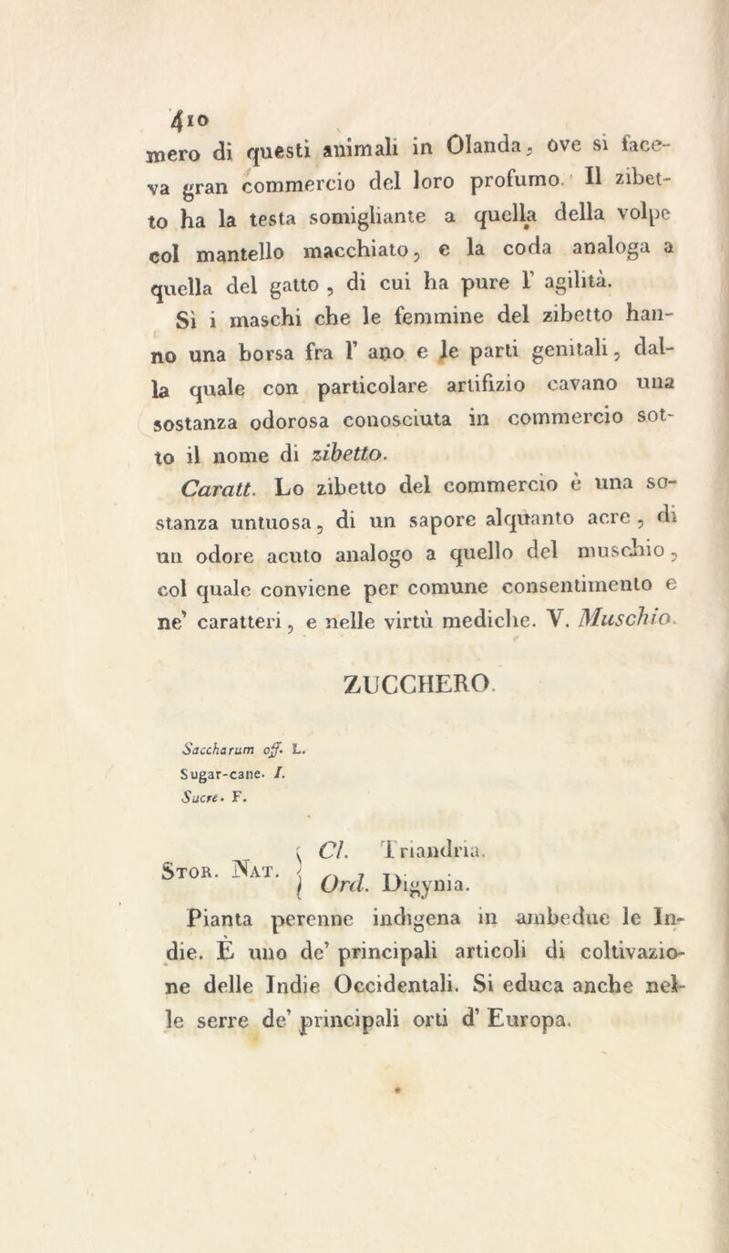 4*0 mero di questi animali in Olanda, ove si face- va gran commercio del loro profumo. Il zibet- to ha la testa somigliante a quella della vol^e col mantello macchiato, e la coda analoga a quella del gatto , di cui ha pure Y agilità. Sì i maschi che le femmine del zibetto han- no una borsa fra 1’ ano e le parti genitali, dal- la quale con particolare artifizio cavano una sostanza odorosa conosciuta in commercio sot- to il nome di zibetto. Caratt. Lo zibetto del commercio è una so- stanza untuosa, di un sapore alquanto acre, di un odore acuto analogo a quello del muschio, col quale conviene per comune consentimento e ne' caratteri, e nelle virtù mediche. V. Muschio ZUCCHERO. Saccharum off. L. Sugar-cane. I. Sucre. F. Stor. Nat. ( CI. Imandria. | Orci. Digynia. Pianta perenne indigena in ambedue le In- die. E uno de’ principali articoli di coltivazio- ne delle Indie Occidentali. Si educa anche nel- le serre de’ principali orti d’ Europa.