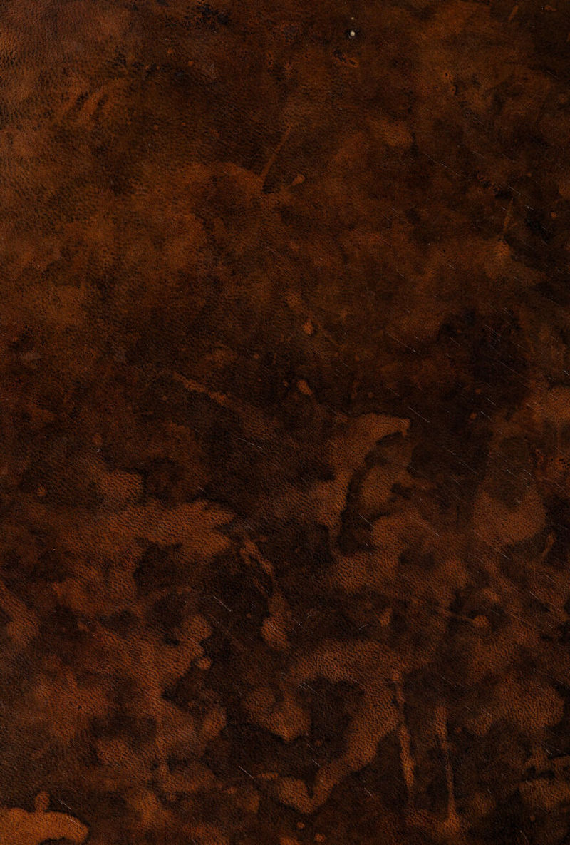 No text description is available for this image