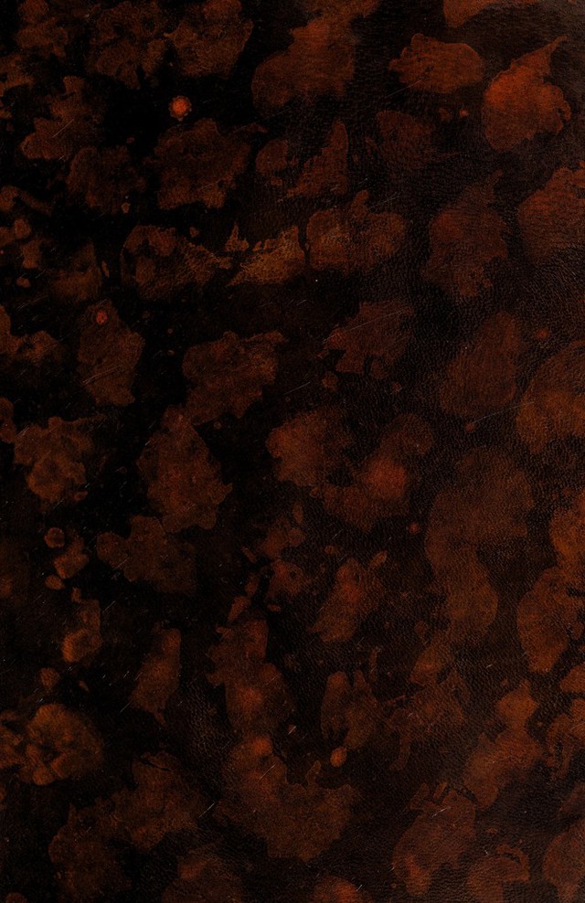 digitised image 1