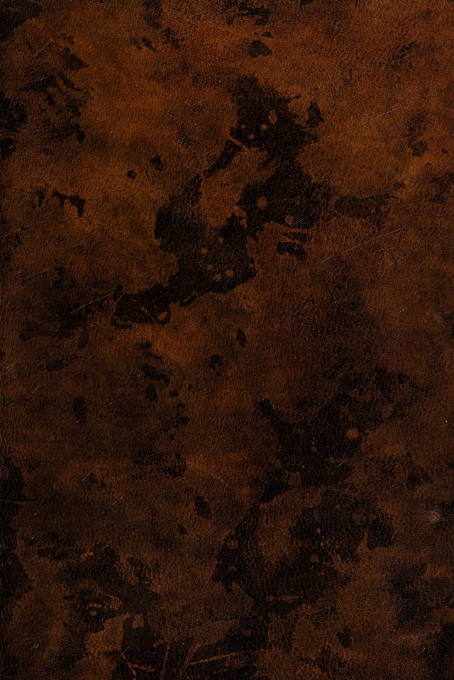 No text description is available for this image