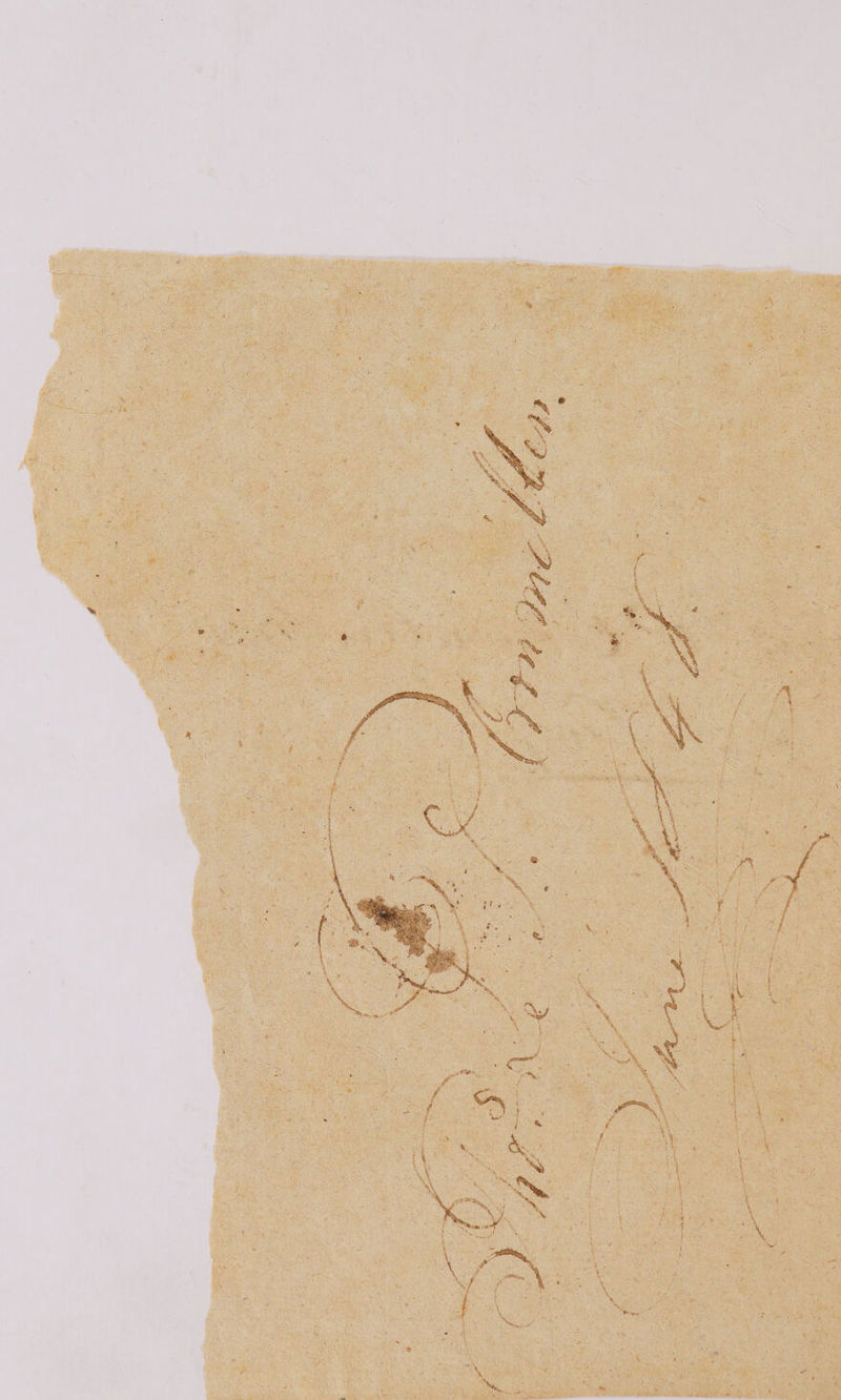 No text description is available for this image