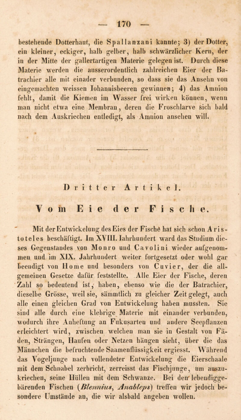 bestehende Dotterhaut, die Spallanzani kannte; 3) der Dotter, ein kleiner, eckiger, halb gelber, halb schwärzlicher Kern, der in der Mitte der gallertartigen Materie gelegen ist. Durch diese Materie werden die ausserordentlich zahlreichen Eier der Ba- trachier alle mit einader verbunden, so dass sie das Ansehn von eingemachten weissen Johannisbeeren gewinnen; 4) das Amnion fehlt, damit die Kiemen im Wasser frei wirken können, wenn man nicht etwa eine Membran, deren die Froschlarve Sich bald nach dem Auskriechen entledigt, als Amnion ansehen will. Dritter Artikel. V o in Eie der Fische. / Mit der Entwickelung des Eies der Fischö hat sich schon A ris- toteles beschäftigt. Im XVIII. Iahrhundert ward das Studium die- ses Gegenstandes von Monro und Cavolini wiederaufgenom- men und im XIX. Jahrhundert weiter fortgesetzt oder wohl gar beendigt von Home und besonders von Cu vier, der die all- gemeinen Gesetze dafür feststellte. Alle Eier der Fische, deren Zahl so bedeutend ist,’ haben, ebenso wie die der Batrachicr, dieselbe Grösse, weil sie, sämmtlich zu gleicher Zeit gelegt, auch alle einen gleichen Grad von Entwickelung haben mussten. Sie sind alle durch eine klebrige Materie mit einander verbunden, wodurch ihre Anheftung an Fukusarteu und andere Seepflanzen erleichtert wird, zwischen welchen man sie in Gestalt von Fä- den, Strängen, Haufen oder Netzen hängen sieht, über die das Männchen die befruchtende Saamenflüssigkeit ergiesst. Während das Vogeljunge nach vollendeter Entwickelung die Eierschaale mit dem Schnabel zerbricht, zerreisst das Fischjunge, um auszu- kriechen, seine Hüllen mit dem Schwänze. Bei den' lebendigge- bärenden Fischen (Blennius, Anableps) treffen wir jedoch be- sondere Umstände an, die wir alsbald angeben wollen.