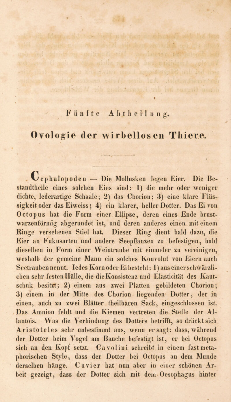 Ovologie der wirbellosen Tliiere. Cephalopoden — Die Mollusken legen Eier. Die Be- standtheile eines solchen Eies sind: 1) die mehr oder weniger dichte, lederartige Schaale; 2) das Chorion; 3) eine klare Flüs- sigkeit oder dasEiweiss; 4) ein klarer, heller Dotter. Das Ei von Octopus hat die Form einer Ellipse, deren eines Ende brust- warzenförmig abgerundet ist, and deren anderes einen mit einem Ringe versehenen Stiel hat. Dieser Ring dient bald dazu, die Eier an Fukusarten und andere Seepflanzen zu befestigen, bald dieselben in Form einer Weintraube mit einander zu vereinigen, weshalb der gemeine Mann ein solches Konvolut von Eiern auch Seetrauben nennt. Iedes Korn oder Ei besteht: I) aus einer schwärzli- chen sehr festen Hülle, die dieKonsistenz und Elasticität des Kaut- schuk besitzt; 2) einem aus zwei Platten gebildeten Chorion; 3) einem in der Mitte des Chorion liegenden' Dotter, der in einen, auch zu zwei Blätter theilbaren Sack, eingeschlossen ist. Das Amnion fehlt und die Kiemen vertreten die Stelle der Al- lantois. Was die Verbindung des Dotters betrifft, so drückt sich Aristoteles sehr unbestimmt aus, wenn er sagt: dass, während der Dotter beim Vogel am Bauche befestigt ist, er bei Octopus sich an den Kopf setzt. Cavolini schreibt in einem fast meta- phorischen Style, dass der Dotter bei Octopus an dem Munde derselben hänge. Cuvier hat nun aber in einer schönen Ar- beit gezeigt, dass der Dotter sich mit dem Oesophagus hinter