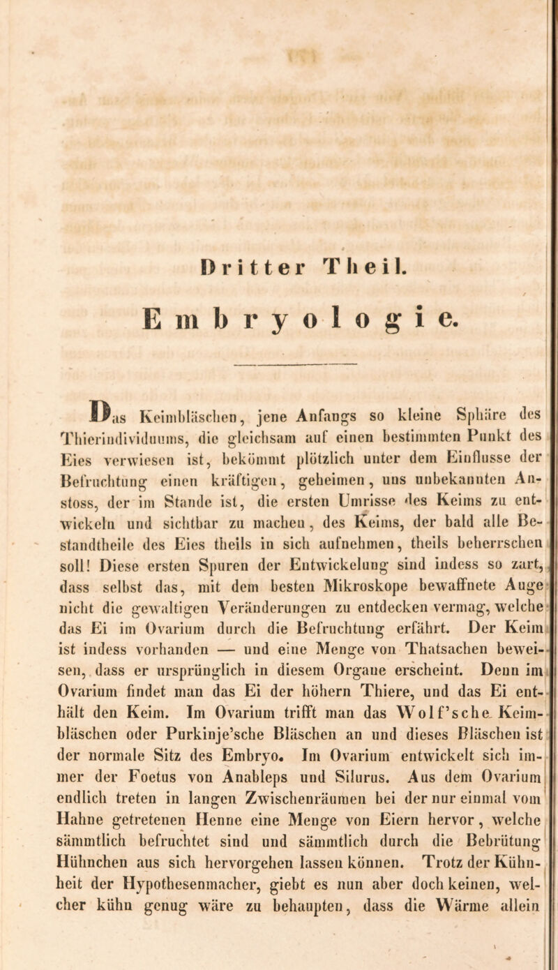 Dritter T h e i 1. Embryologie. Bas Keimbläschen, jene Anfangs so kleine Sphäre des Thierindividuums, die gleichsam auf einen bestimmten Punkt des Eies verwiesen ist, bekömmt plötzlich unter dem Einflüsse der Befruchtung einen kräftigen, geheimen, uus unbekannten An- stoss, der im Stande ist, die ersten Umrisse des Keims zu ent- wickeln und sichtbar zu macheu, des Keims, der bald alle Be- standtheile des Eies theils in sich aufnehmen, theils beherrschen soll! Diese ersten Spuren der Entwickelung sind indess so zart, dass selbst das, mit dem besten Mikroskope bewaffnete Auge nicht die gewaltigen Veränderungen zu entdecken vermag, welche das Ei im Ovarium durch die Befruchtung erfährt. Der Keim ist indess vorhanden — und eine Menge von Thatsachen bewei- sen, dass er ursprünglich in diesem Organe erscheint. Denn im Ovarium findet man das Ei der hohem Thiere, und das Ei ent- hält den Keim. Im Ovarium trifft man das Wo 1 f’s che, Keim- bläschen oder Purkinje’sche Bläschen an und dieses Bläschen ist der normale Sitz des Embryo« Im Ovarium entwickelt sich im- mer der Foetus von Anableps und Silurus. Aus dem Ovarium endlich treten in langen Zwischenräumen bei der nur einmal vom Hahne getretenen Henne eine Menge von Eiern hervor, welche sämmtlich befruchtet sind und sämmtlich durch die Bebrütung Hühnchen aus sich hervorgehen lassen können. Trotz der Kühn- heit der Hypothesenmacher, giebt es nun aber doch keinen, wel- cher kühn genug wäre zu behaupten, dass die Wärme allein