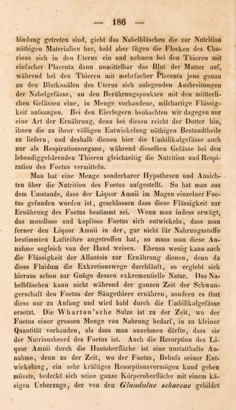 bindung getreten sind, gieM das Nabelbläschen die zur Nutrition nöthigen Materialien her, bald aber lügen die Flocken des Cho- rions sich in den Uterus ein und nehmen bei den Thiereu mit einfacher Placenta dann unmittelbar das ßlut der Mutter auf, während bei den Thieren mit mehrfacher Placenta jene genau an den Blutkanälen des Uterus sich anlegenden Ausbreitungen der Nabelgefässe, an den Berührungspunkten mit den mütterli- chen Gelassen eine, in Menge vorhandene, milchartige Flüssig- keit aufsaugen. Bei den Eierlegern beobachten wir dagegen nur eine Art der Ernährung, denn bei diesen reicht der Dotter hin, ihnen die zu ihrer völligen Entwickelung nöthigen Bestandteile zu liefern, und deshalb dienen hier die Umbiiikalgefässe auch nur als Respirationsorgane, während dieselben Gelasse bei den lebendiggebärenden Thieren gleichzeitig die Nutrition und Respi- ration des Foetus vermitteln. Man hat eine Menge sonderbarer Hypothesen und Ansich- ten über die Nutrition des Foetus aufgestellt. So hat man aus dem Umstande, dass der Liquor Amnii im Magen einzelner Foe- tus gefunden worden ist, geschlossen dass diese Flüssigkeit zur Ernährung des Foetus bestimmt sei. Wenn man indess erwägt, das mundlose und kopflose Foetus sich entwickeln, dass man ferner den Liquor Amnii in der, gar nicht für Nahrungsstoffe bestimmten Luftröhre angetroffen hat, so muss man diese An- nahme sogleich von der Hand weisen. Ebenso wenig kann auch die Flüssigkeit der Allantois zur Ernährung dienen, denn da diess Fluidum die Exkretionswege durchläuft, so ergiebt sich hieraus schon zur Gnüge dessen exkrementielle Natur, Das Na- belbläscheu kann nicht während der ganzen Zeit der Schwan- gerschaft den Foetus der Säugethiere ernähren, sondern es thut diess nur zu Anfang und wird bald durch die Umbiiikalgefässe ersetzt. Die W har ton’sehe Sülze ist zu der Zeit, wo der Foetus einer grossen Menge von Nahrung bedarf, in zu kleiner Quantität vorhanden, als dass man annehmen dürfte, dass sie der Nutrionsheerd des Foetus ist. Auch die Resorption des Li- quor Amnii durch die Hautoberfläche ist eine unstatthafte An- nahme, denn zu der Zeit, wo der Foetus, Behufs seiner Ent- wickelung, ein sehr kräftiges Resorptionsvermögen kund geben müsste, bedeckt sich seine ganze Körperoberfläche mit einem kä- sigen Ueberzuge, der von den Glandulae sebaceae gebildet