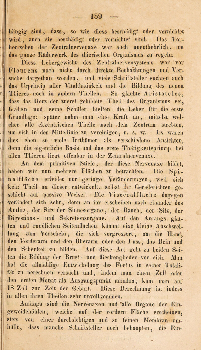 hängig' sind, dass, so wie diess beschädigt oder vernichtet wird, auch sie beschädigt oder vernichtet sind. Das Vor- herrschen der Zentralnervenaxe war auch unentbehrlich, um das ganze Räderwerk des thierisclien Organismus zu regeln. Diess Uebergewicht des Zentralnervensystems war vor Flourens noch nicht durch direkte Beobachtungen und Ver- suche dargethan worden, und viele Schriftsteller suchten auch das Urprincip aller Vitalthätigkeit und die Bildung des neuen Thieres noch in andern Theilen. So glaubte Aristoteles, dass das Herz der zuerst gebildete Theil des Organismus sei, Galen und seine Schüler hielten die Leber für die erste Grundlage5 später nahm man eine Kraft an, mittelst wel- cher alle ekzentrischen Theile nach ,dem Zentrum strebten, um sich in der MittellinieNzu vereinigen, u. s. av. Es waren dies eben so viele Irrthümer als verschiedene Ansichten, denn die eigentliche Basis und das erste Thätigkeitsprincip bei allen Thieren liegt offenbar in der Zentralnervenaxe. An dem primitiven Stiele, der diese Nervenaxe bildet, haben wir nun mehrere Flächen zu betrachten. Die Spi- nalfläche erleidet nur geringe Veränderungen, weil sich kein Theil an dieser entwickelt, selbst ihr Geraderichten ge- schieht auf passive Weise. Die Visceralfläche dagegen verändert sich sehr, denn an ihr erscheinen nach einander das Antlitz, der Sitz der Sinnesorgane, der Bauch, der Sitz, der Digestions - und Sekretionsorgane. Auf den Anfangs glat- ten und rundlichen Seitenflächen kömmt eine kleine Anschwel- - V lung zum Vorschein, die sich vergrössert, um die Hand, den Vorderarm und den Oberarm oder den Fuss, das Bein und den Schenkel -zu bilden. Auf diese Art geht zu beiden Sei- ten die Bildung der Brust- und Beckenglieder vor sich. Man hat die allmäblige Entwickelung des Foetus in seiner Totali- tät zu berechnen versucht und, indem man einen Zoll oder den ersten Monat als Ausgangspunkt annahm, kam man auf 18 Zoll zur Zeit der Geburt. Diese Berechnung ist indess in allen ihren Theilen sehr unvollkommen. Anfangs sind die Nervenaxen und 'alle Organe der Ein- geweidchöhlen, welche auf der vordem Fläche erscheinen, stets von einer durchsichtigen und so feinen Membran um- hüllt, dass manche Schriftsteller noch behaupten, die Ein-