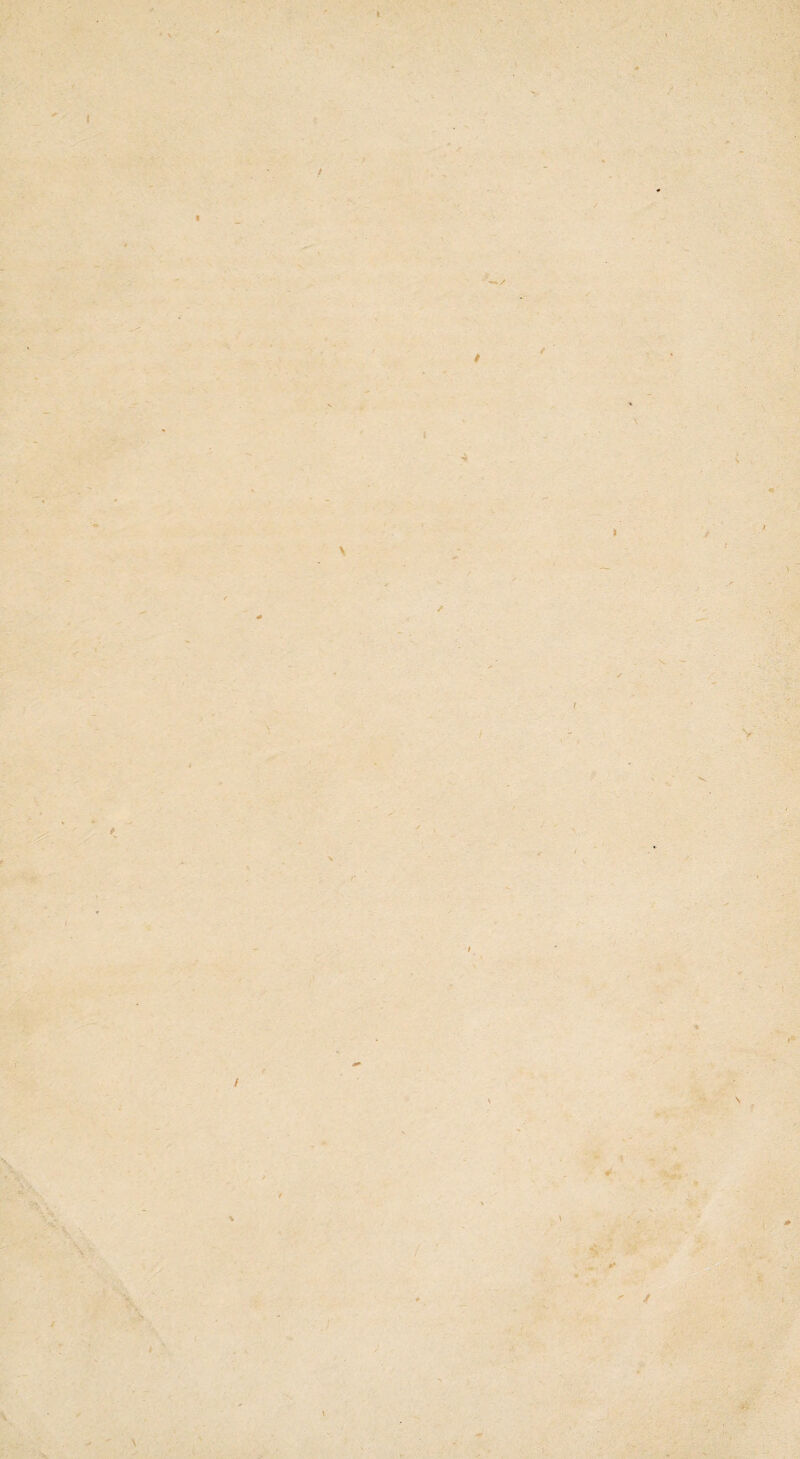 \ / i i t / V / 1 t* 'f / \ \ V \ ;*'