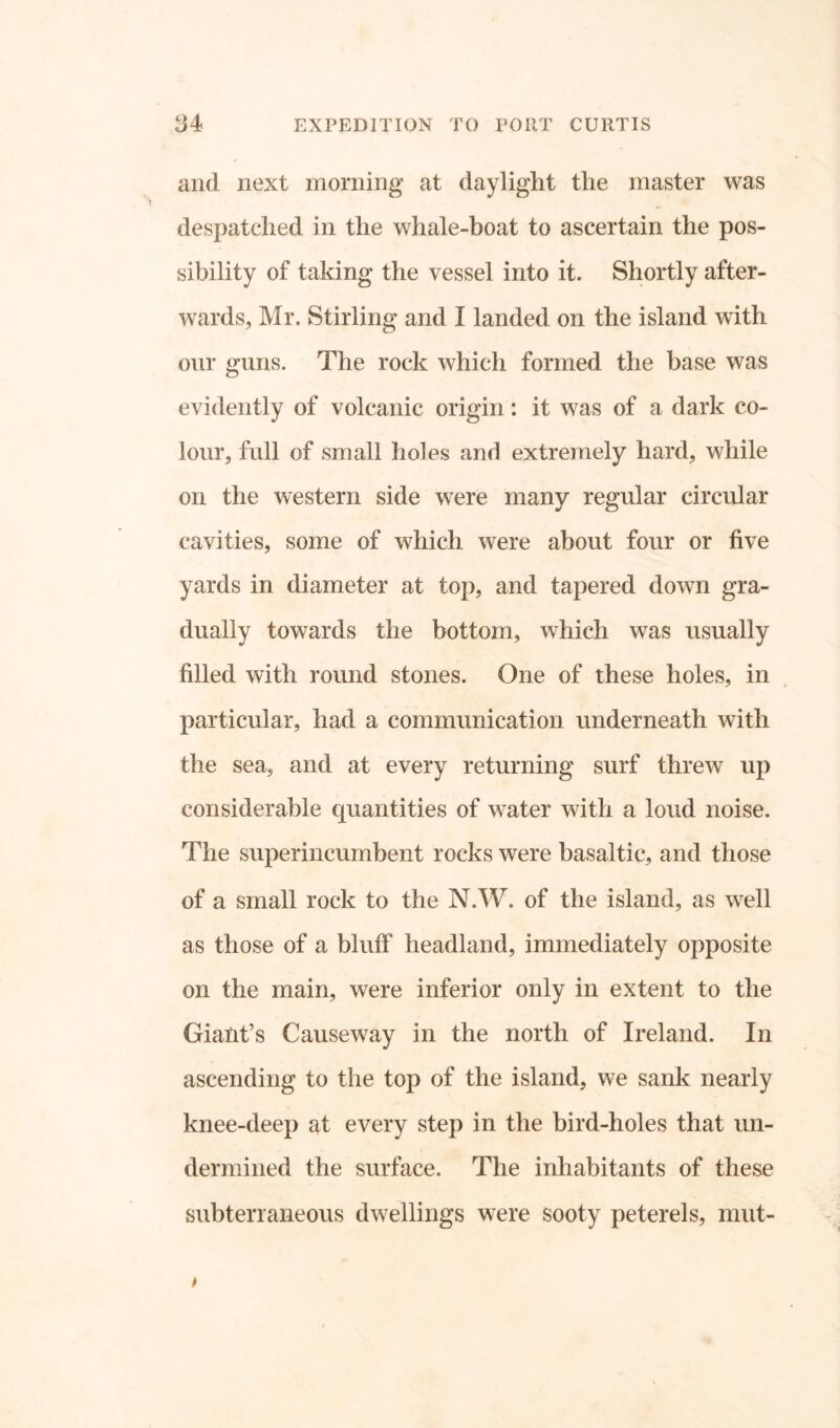 and next morning at daylight the master was despatched in the whale-boat to ascertain the pos- sibility of taking the vessel into it. Shortly after- wards, Mr. Stirling and I landed on the island with our guns. The rock which formed the base was evidently of volcanic origin: it was of a dark co- lour, full of small holes and extremely hard, while on the western side were many regular circular cavities, some of which were about four or five yards in diameter at top, and tapered down gra- dually towards the bottom, which was usually filled with round stones. One of these holes, in particular, had a communication underneath with the sea, and at every returning surf threw up considerable quantities of water with a loud noise. The superincumbent rocks were basaltic, and those of a small rock to the N.W. of the island, as well as those of a bluff headland, immediately opposite on the main, were inferior only in extent to the Giant’s Causeway in the north of Ireland. In ascending to the top of the island, we sank nearly knee-deep at every step in the bird-holes that un- dermined the surface. The inhabitants of these subterraneous dwellings were sooty peterels, mut-